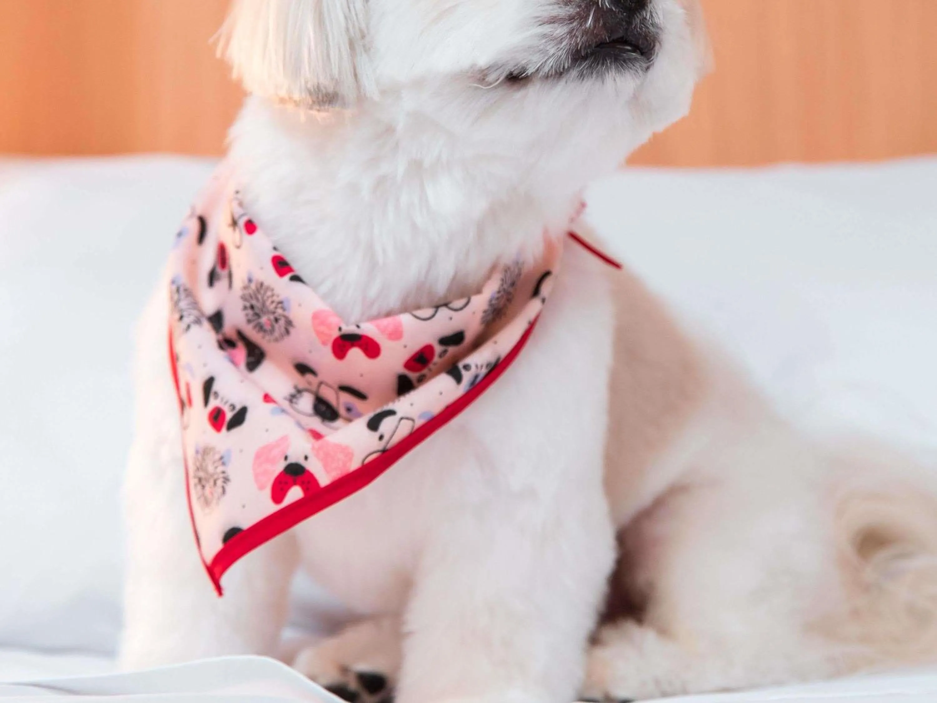 Bedroom in ibis Presidente Prudente Manoel Goulart