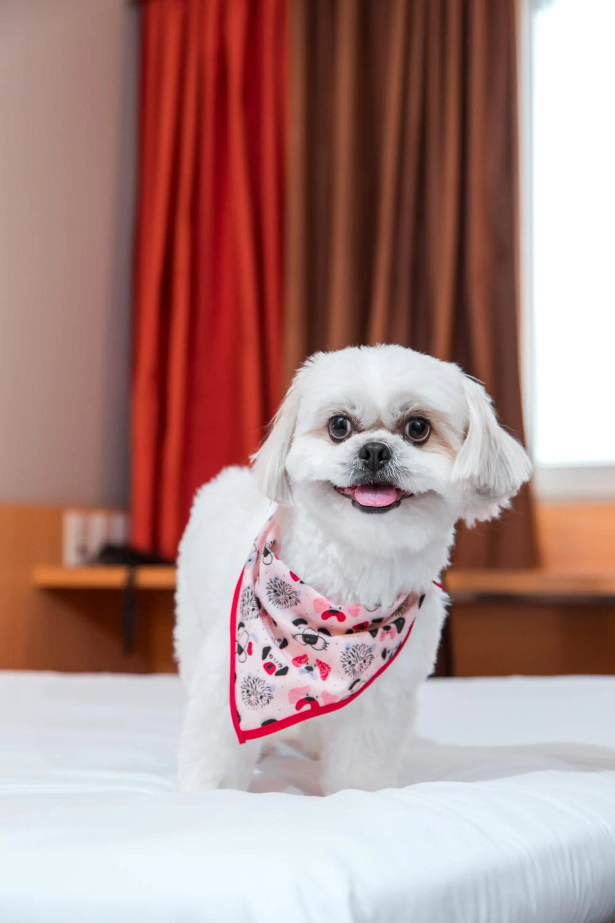 ibis Presidente Prudente Manoel Goulart