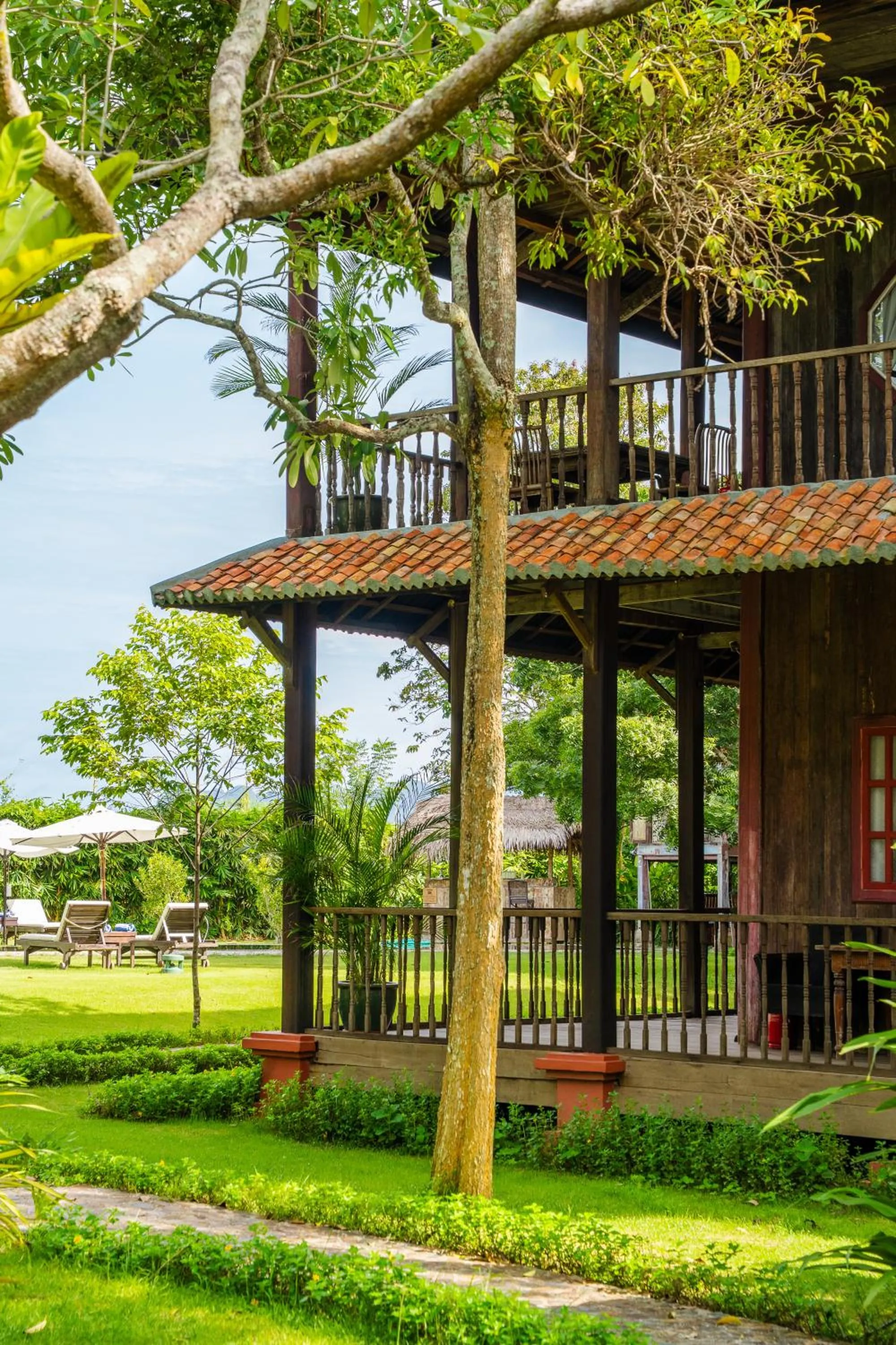 Spring in Temple Tree Resort