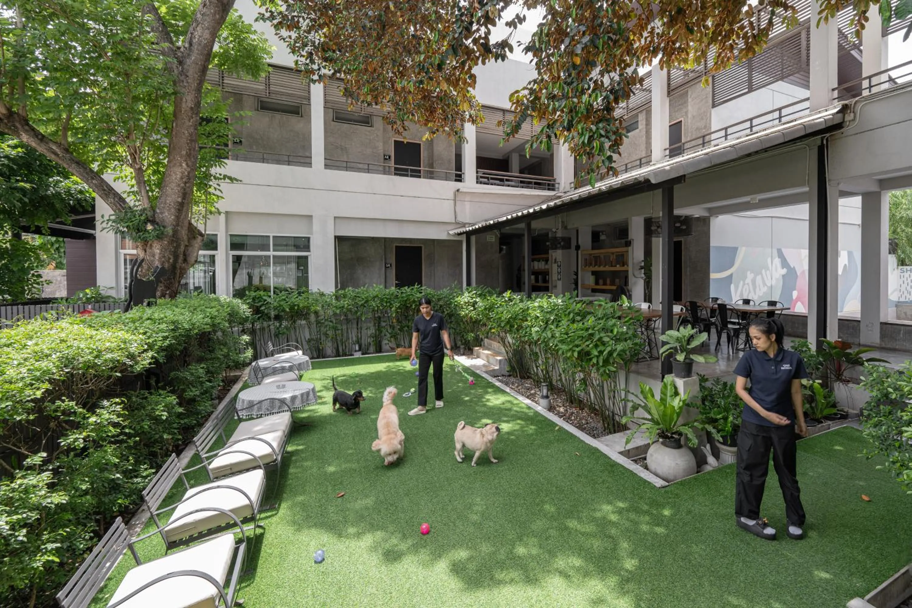 Property building in Ketawa Pet Friendly Hotel