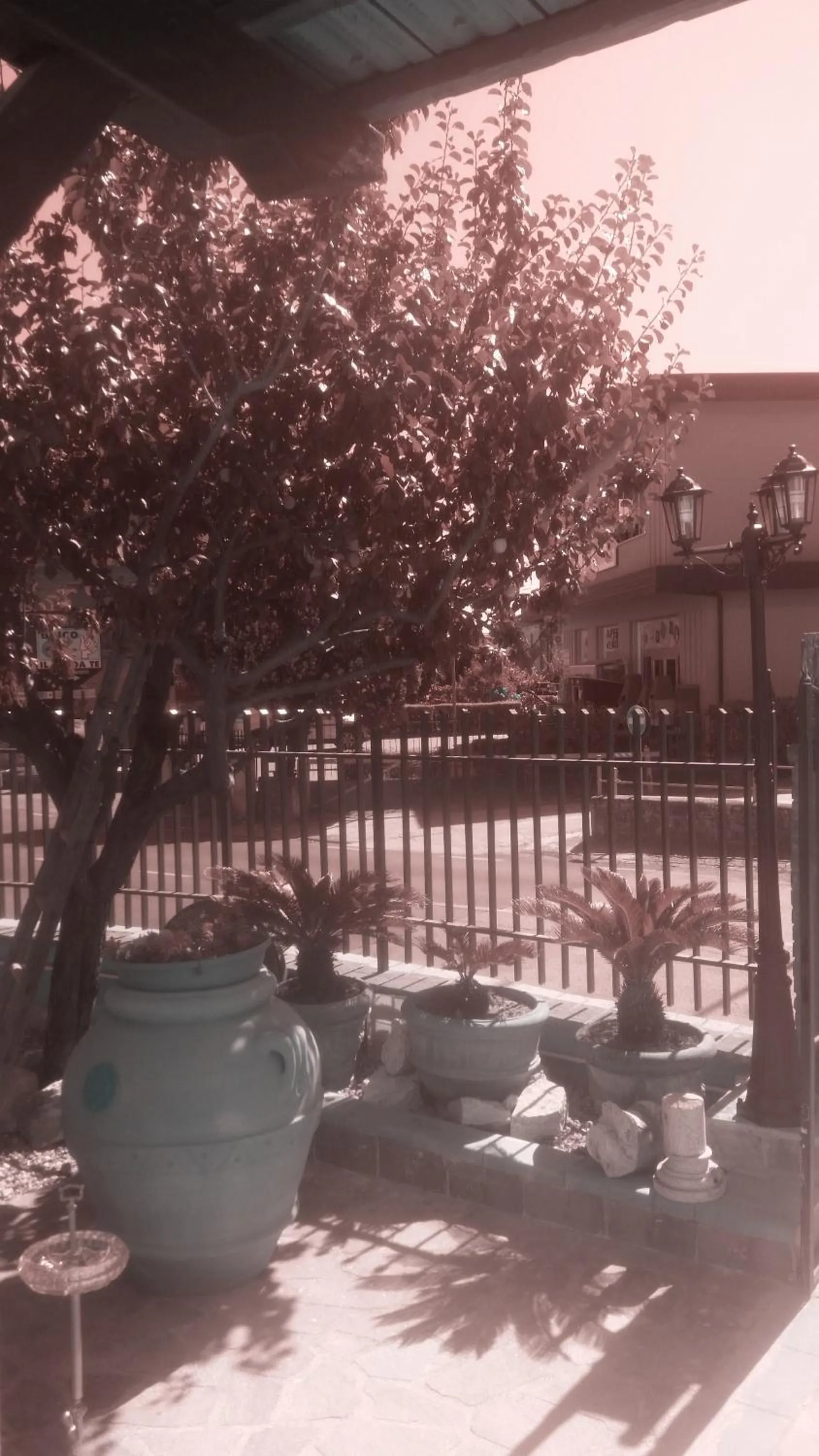 Facade/entrance in Il Rifugio di Dante