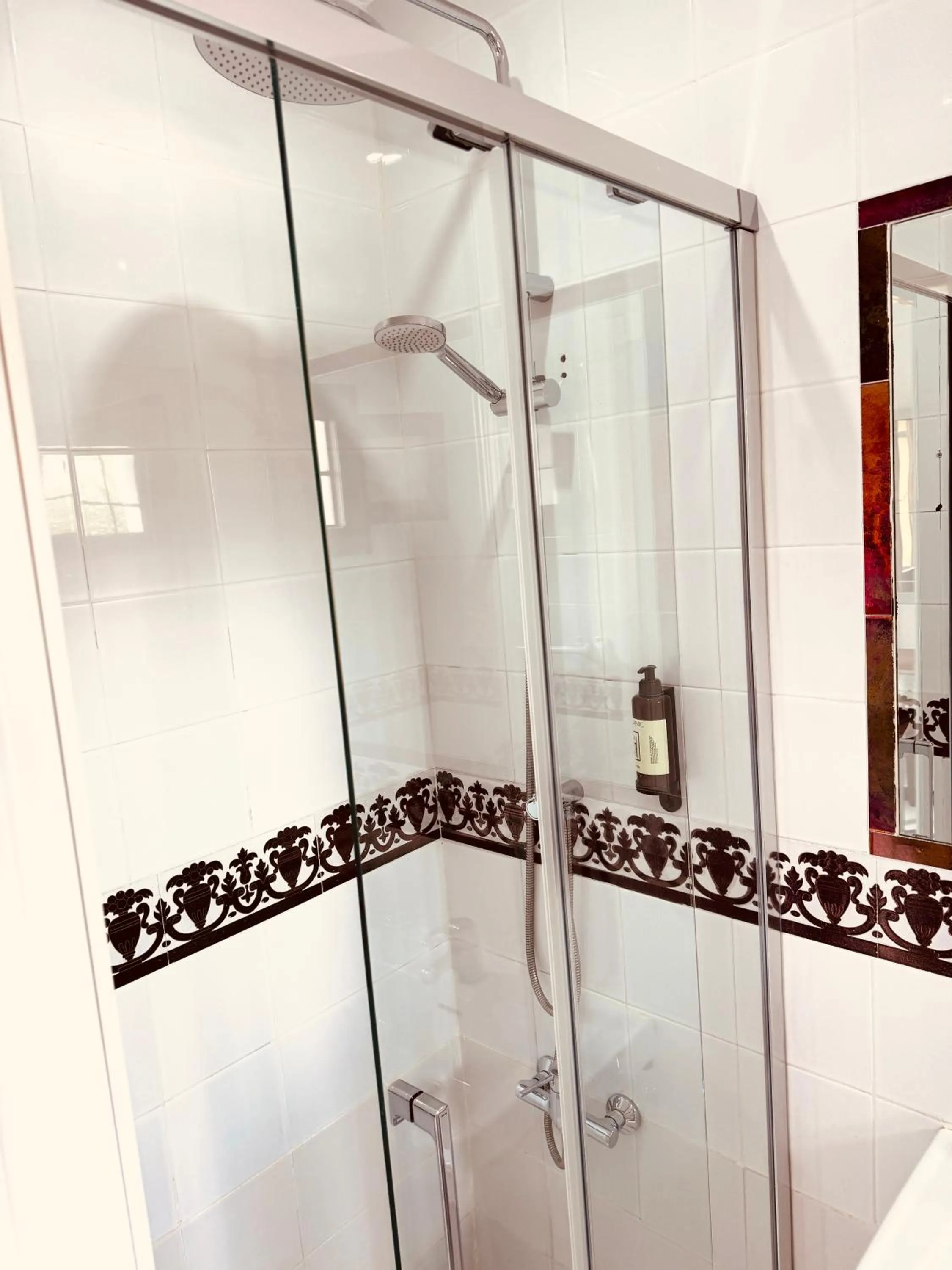 Shower in Hotelito Suecia