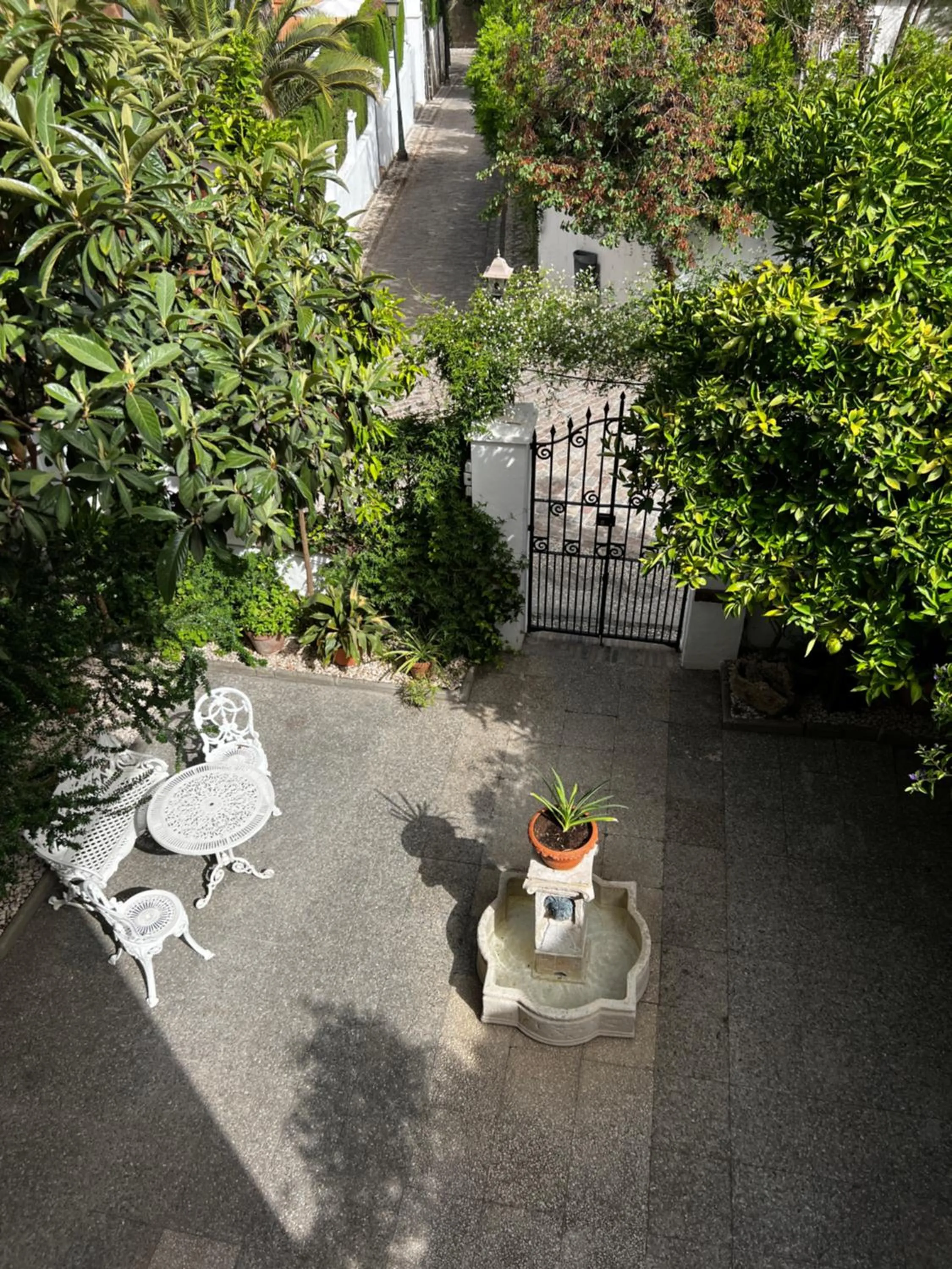 Garden in Hotelito Suecia