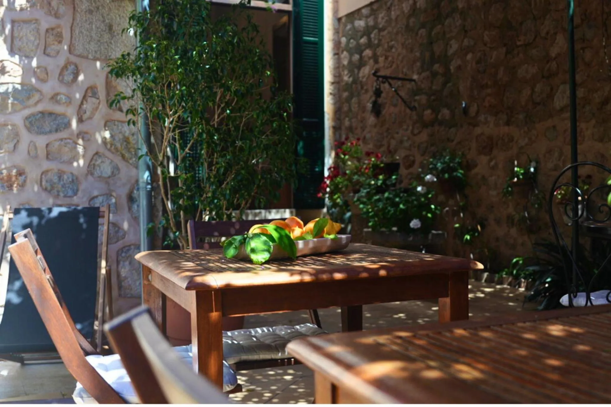 Garden in Hotel Casa Bougainvillea