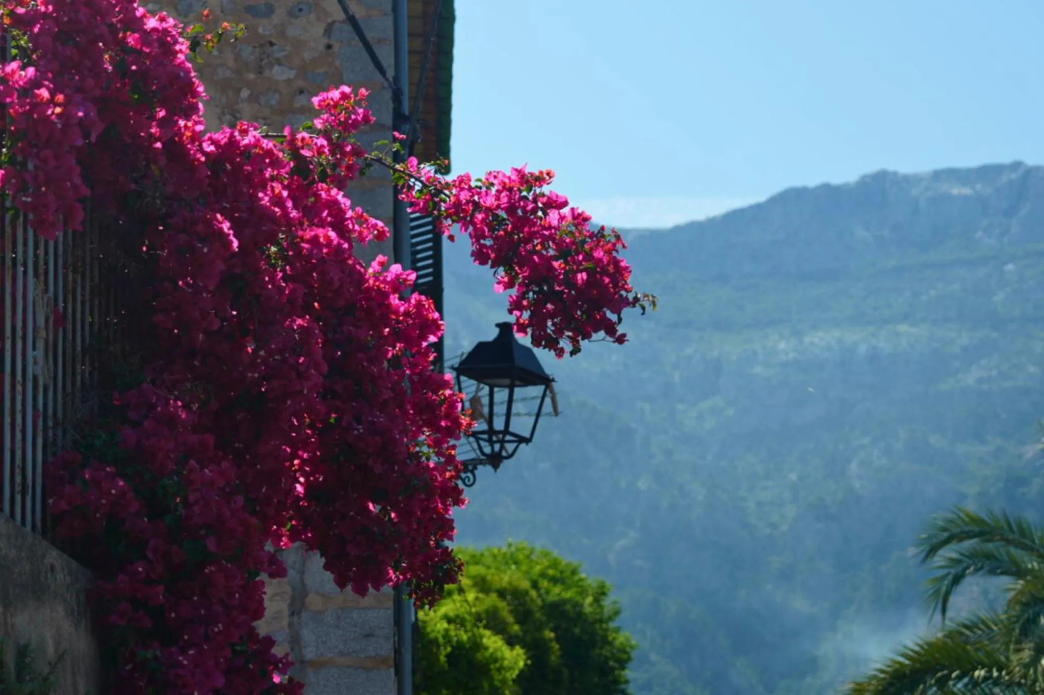 Facade/entrance in Hotel Casa Bougainvillea