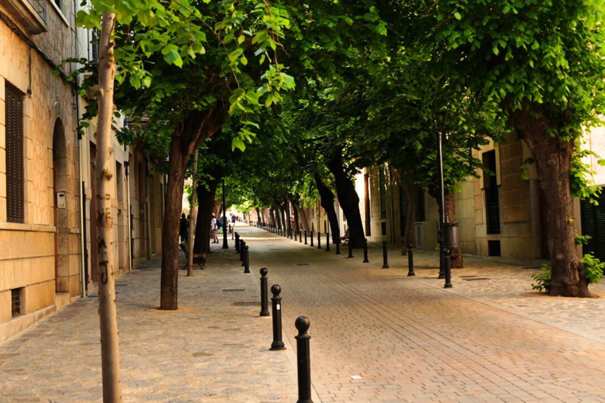 Street view in Hotel Casa Bougainvillea