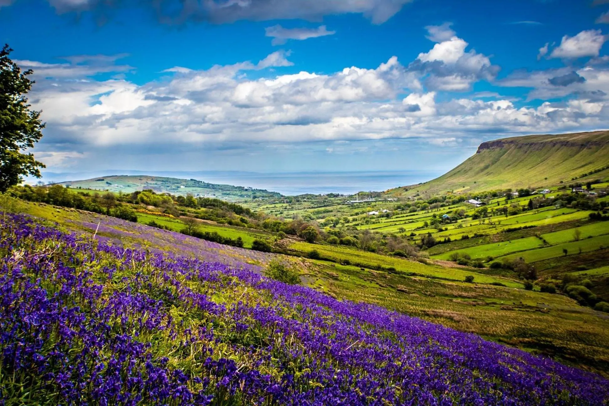 Natural landscape in Cullentra House