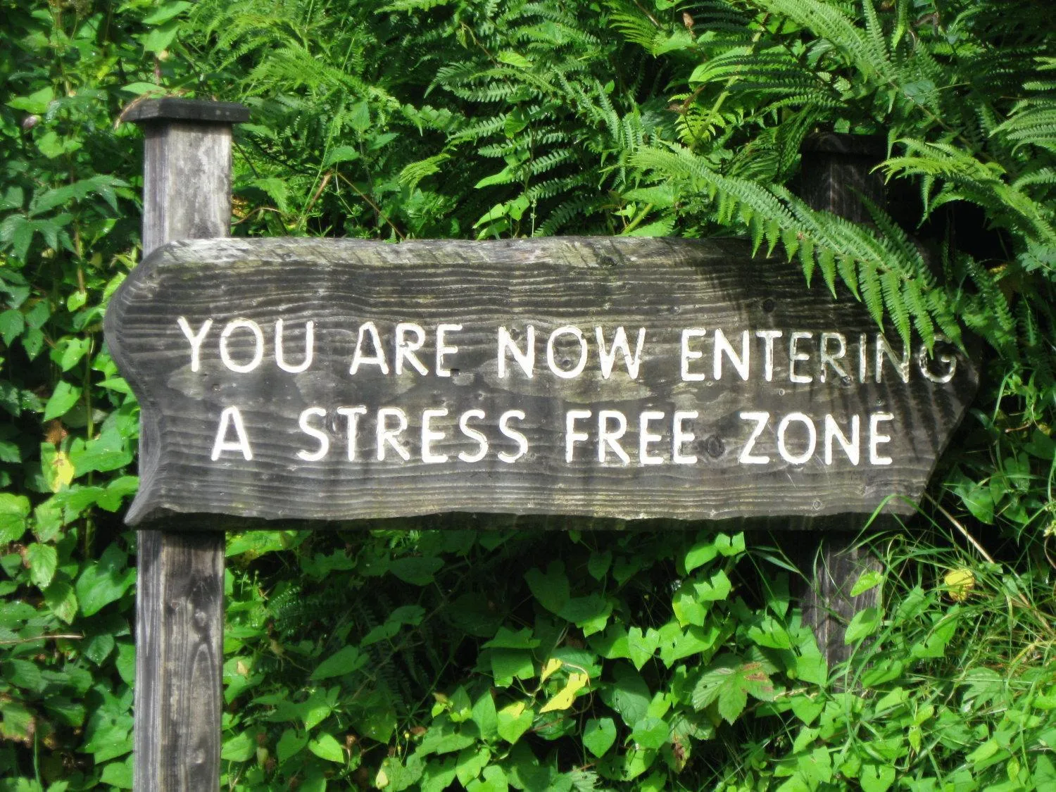 Logo/Certificate/Sign in Cullentra House