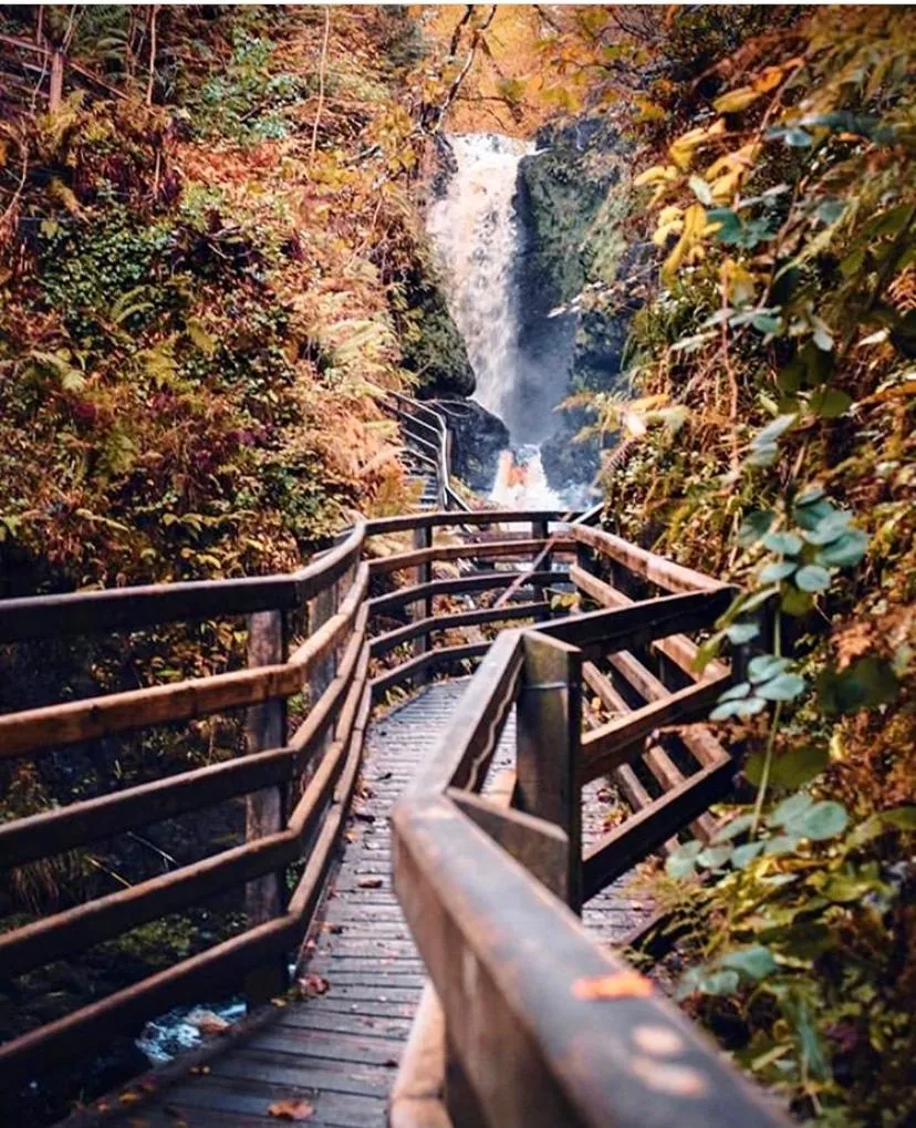 Natural landscape in Cullentra House
