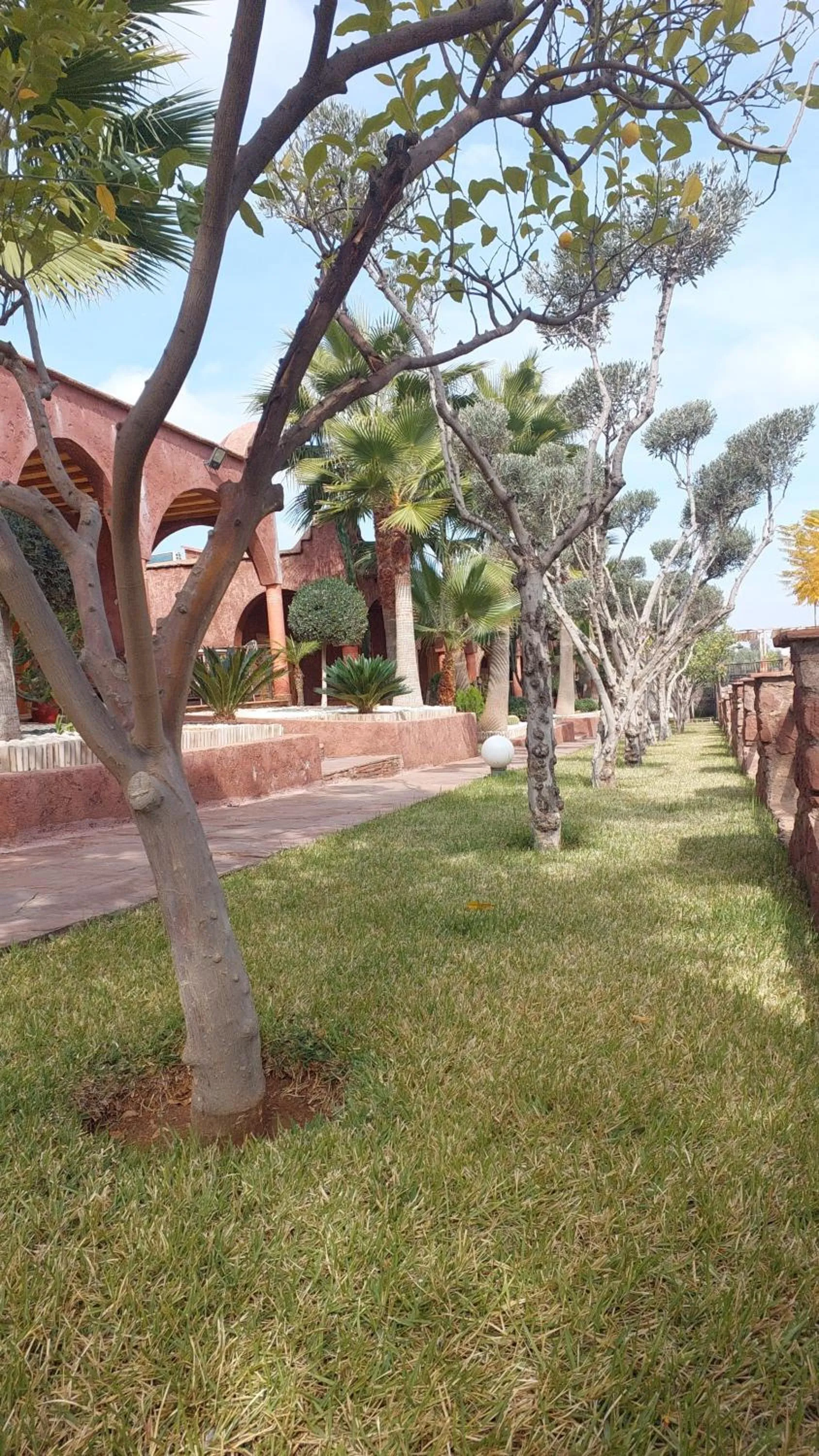 Garden in Chez Mamouchthka