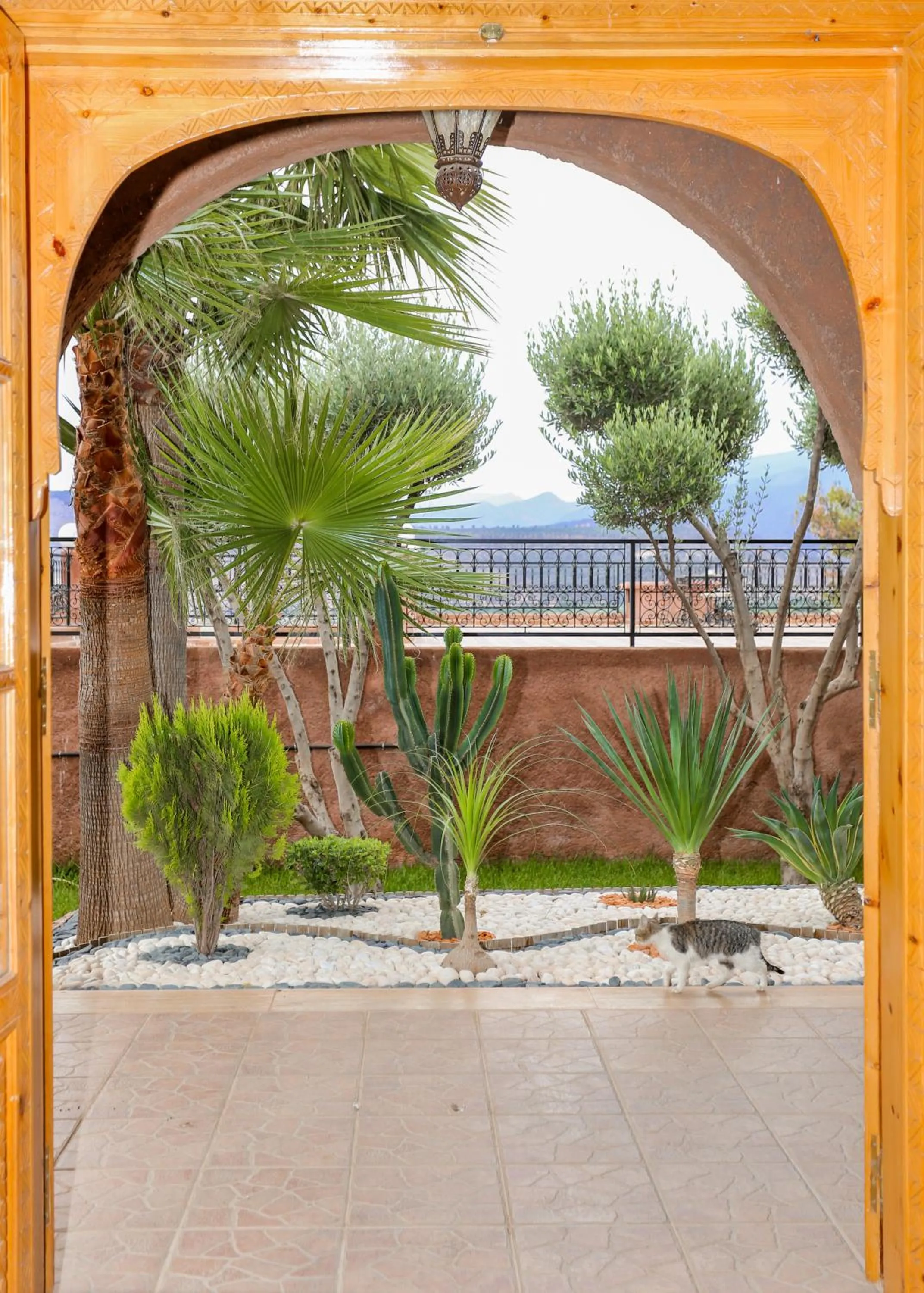 Garden in Chez Mamouchthka