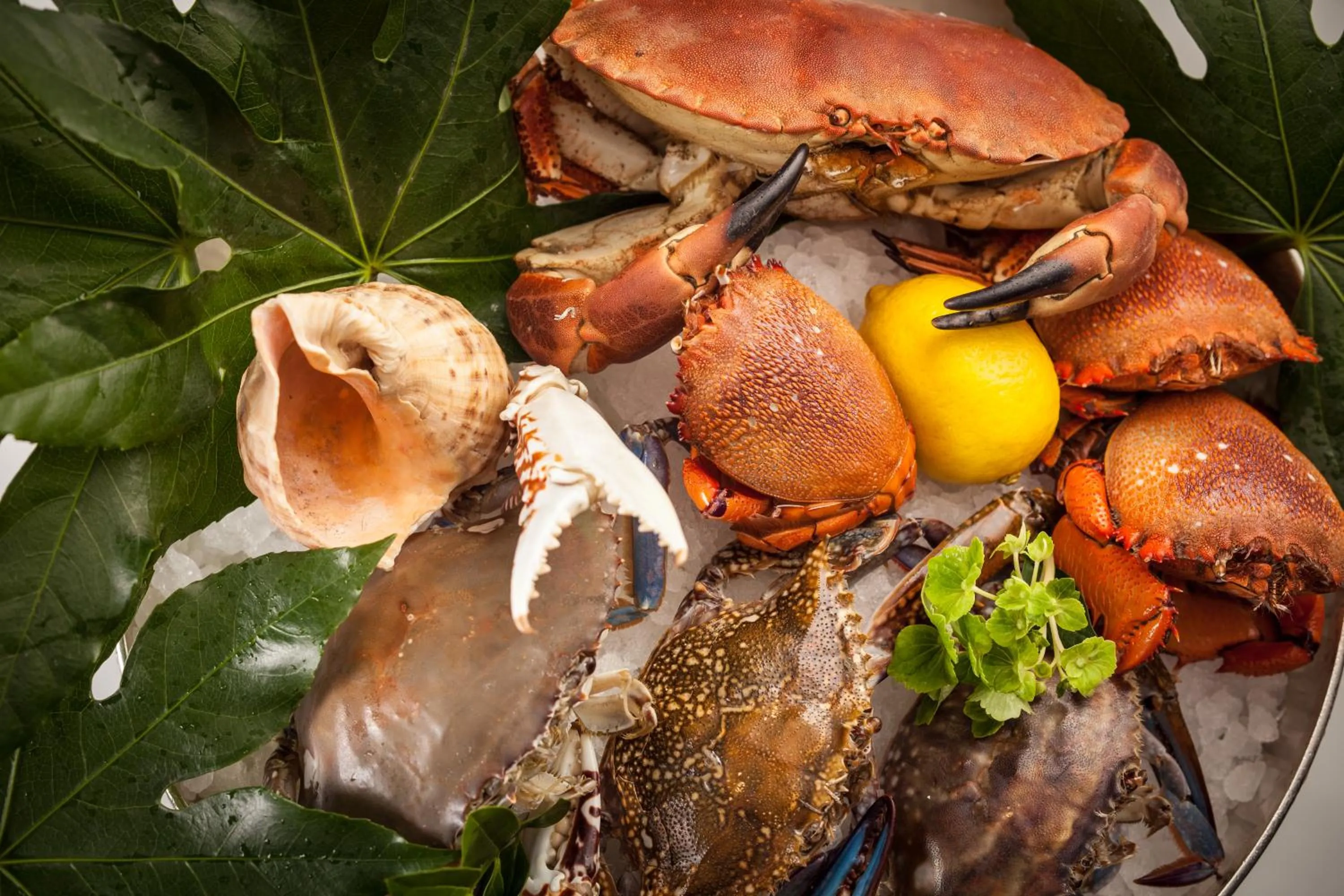 The Langham, Shanghai, Xintiandi