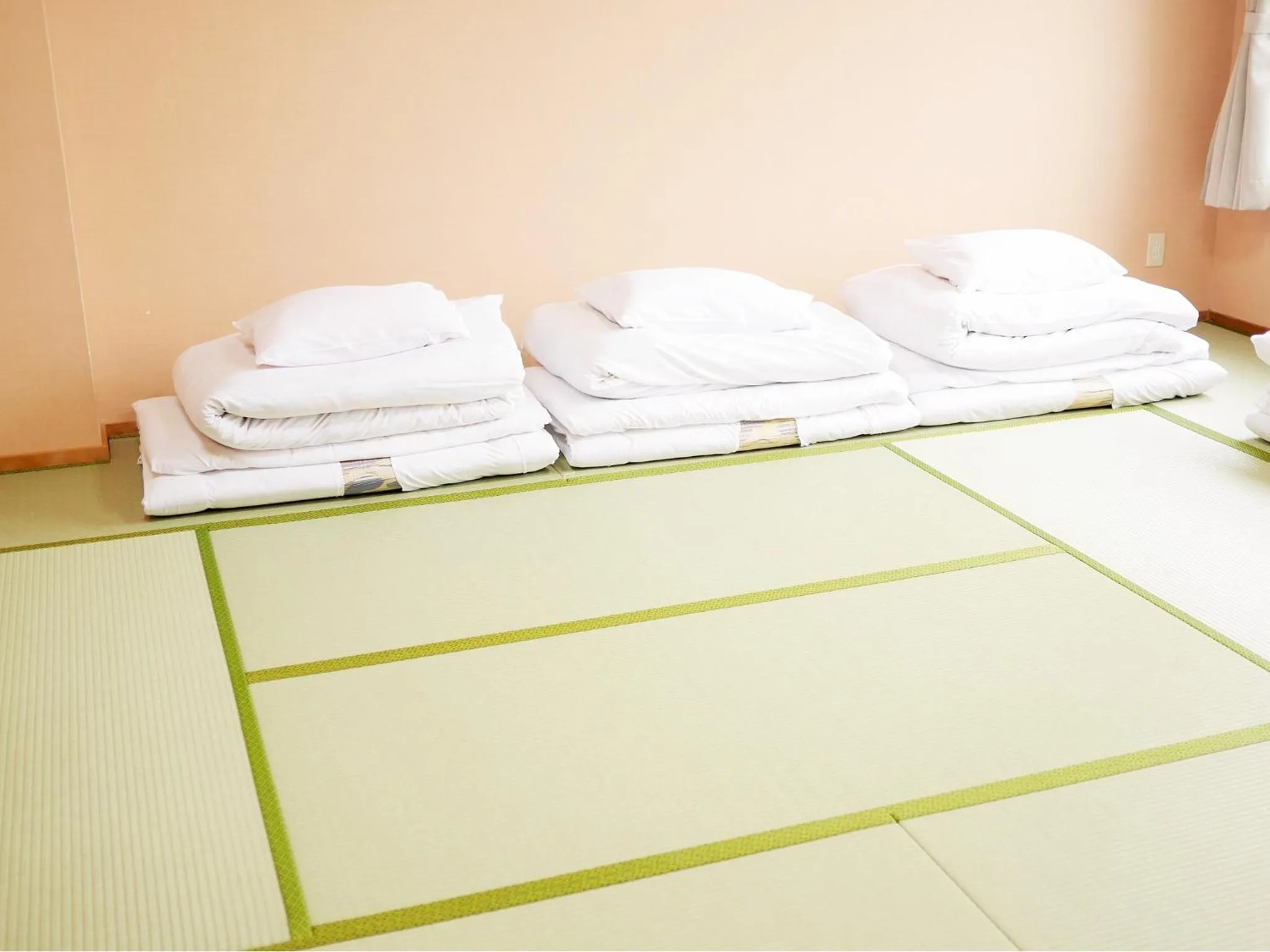 Other in Hiroshima Peace Hotel