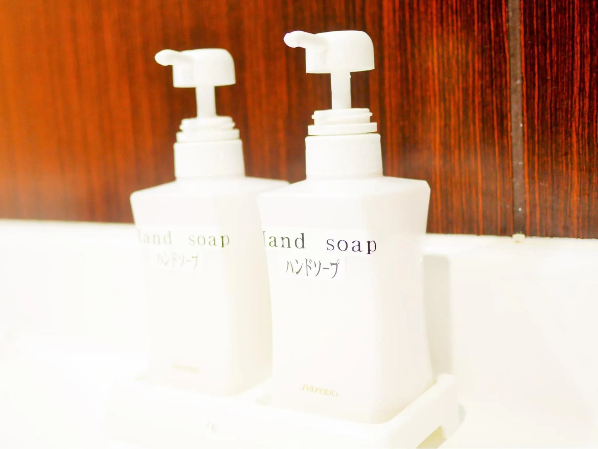 Other in Hiroshima Peace Hotel