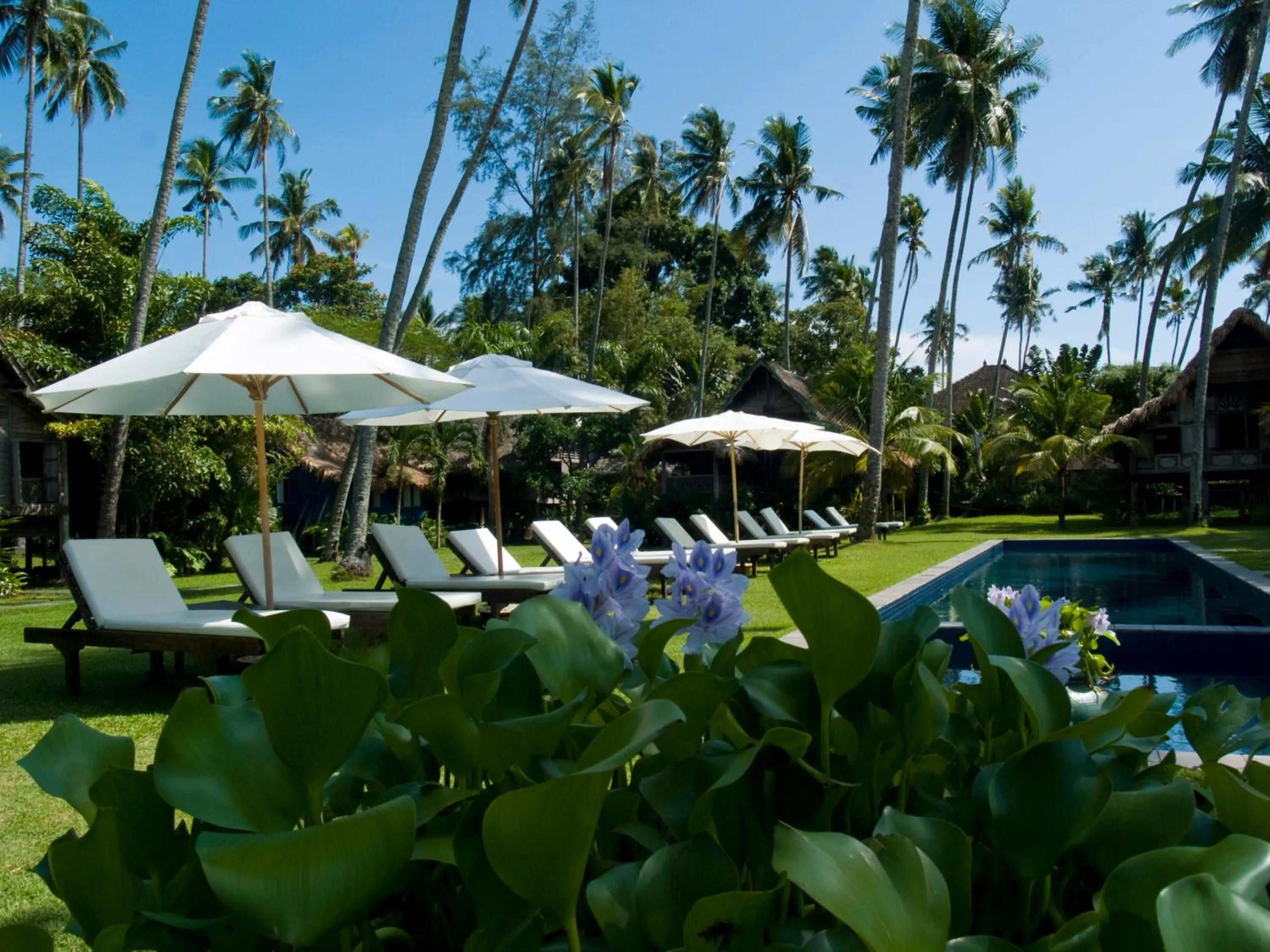 Swimming pool in Bon Ton Antique Wooden Villas