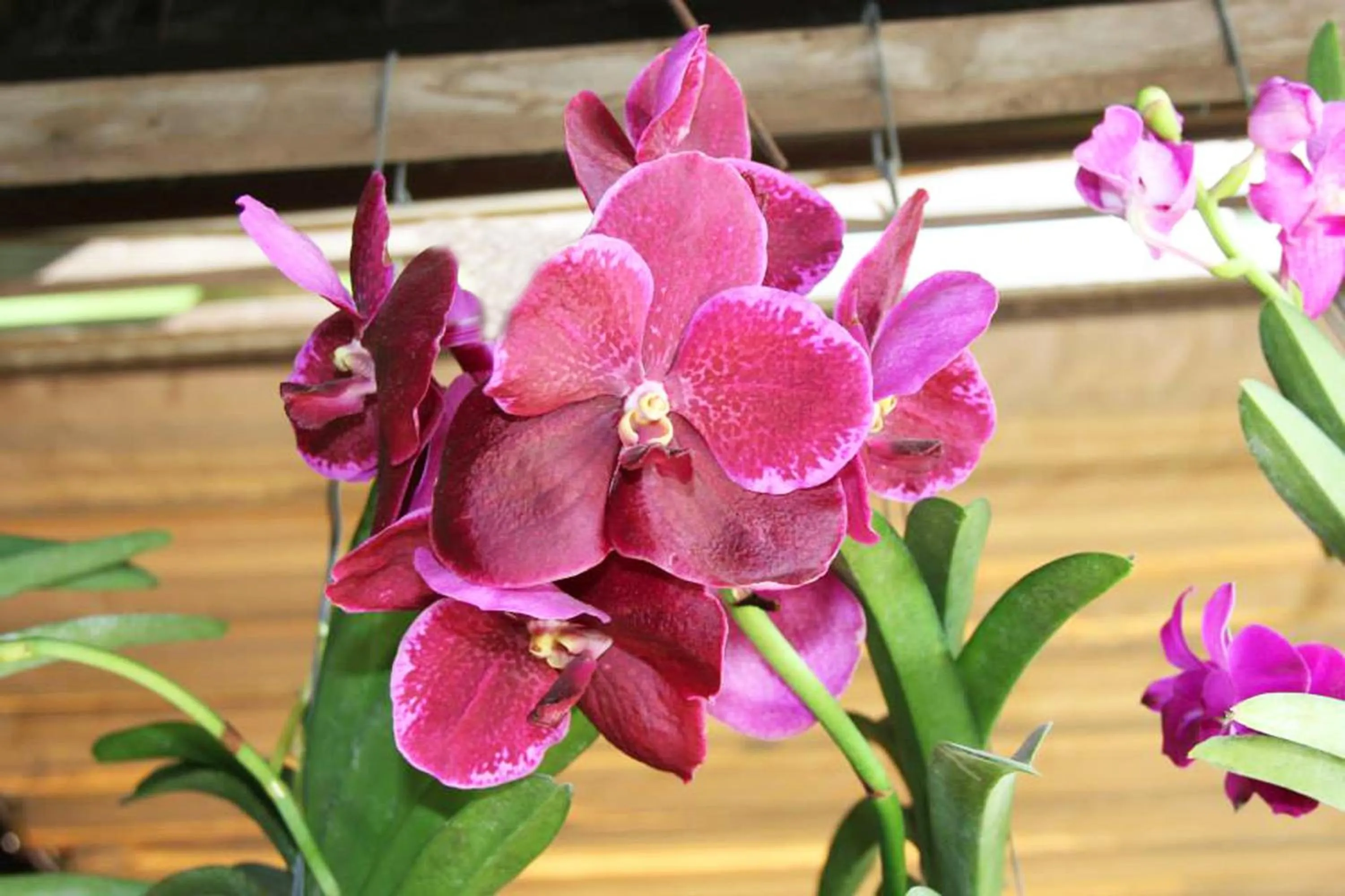 Area and facilities in Parklane Hotel