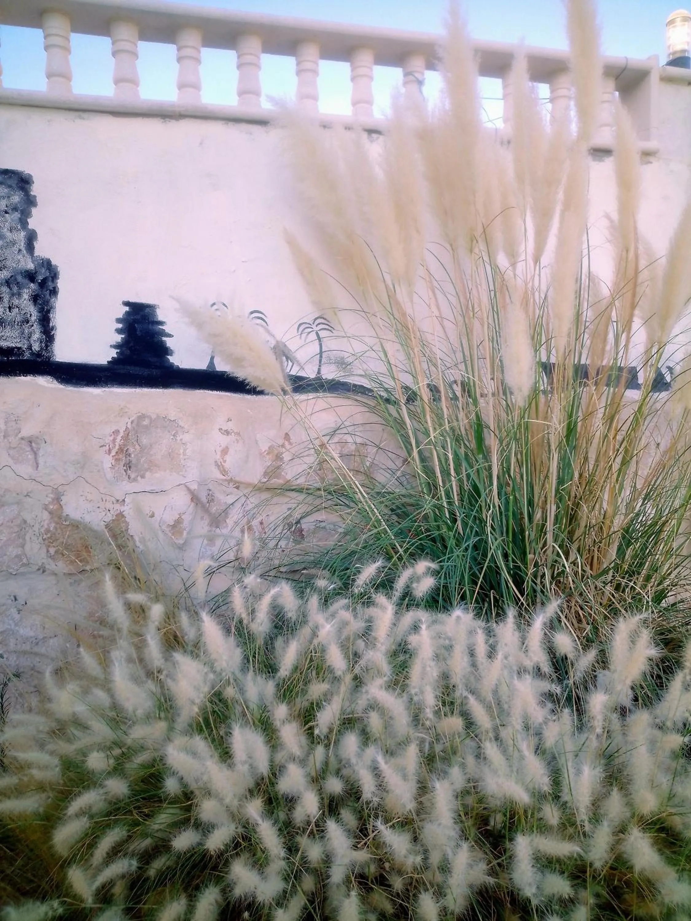 Garden in The Little B&B on the Hill