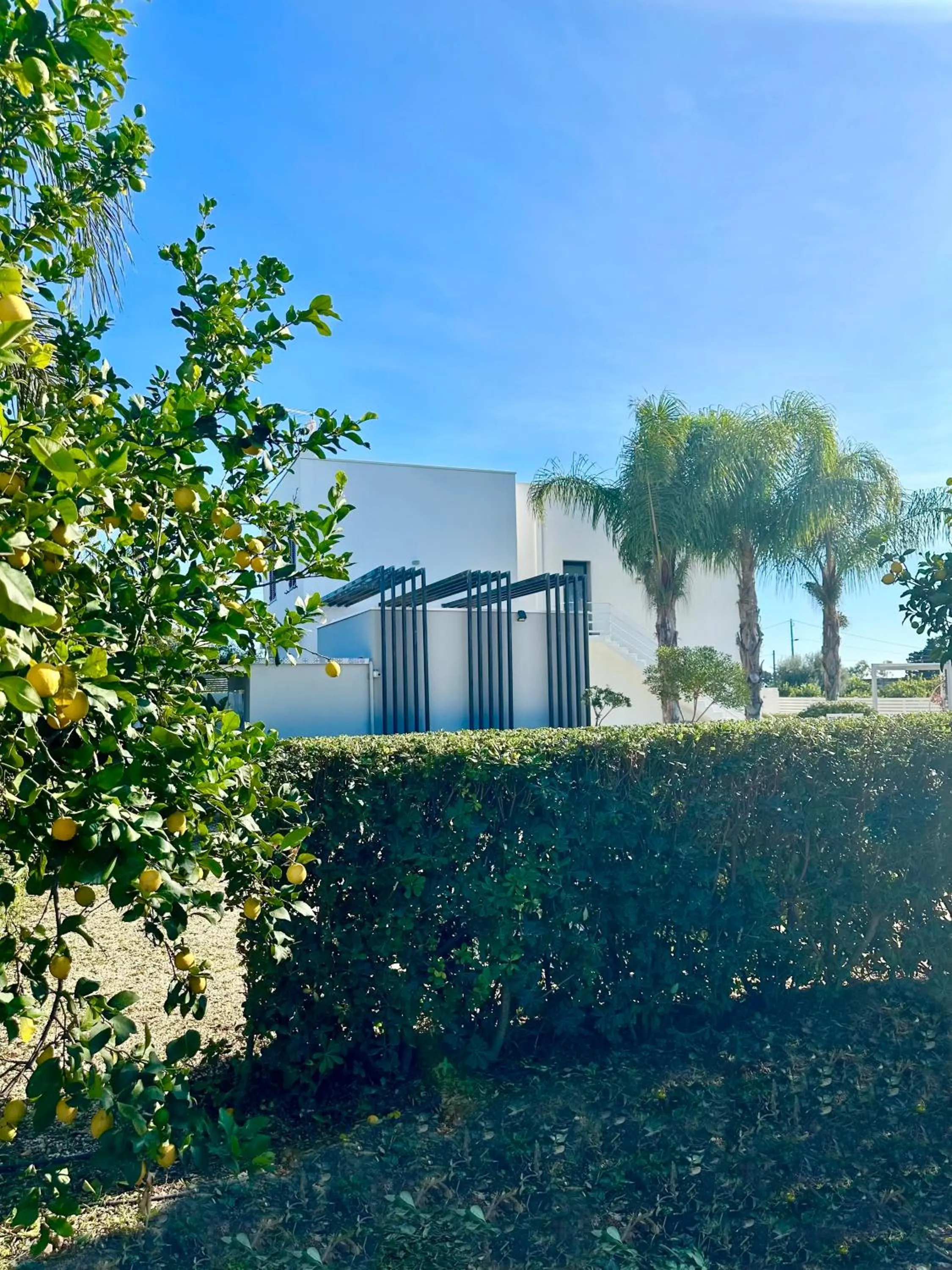 Garden in Sun of Sicily
