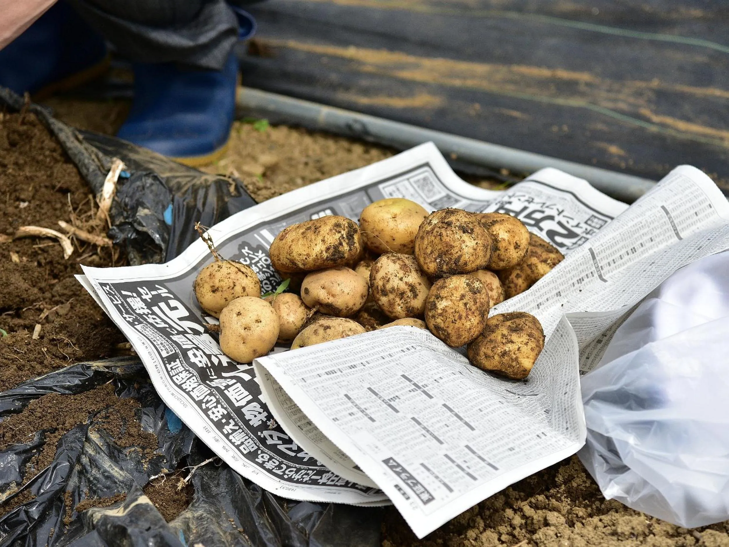 Other in Shimoda Central Hotel