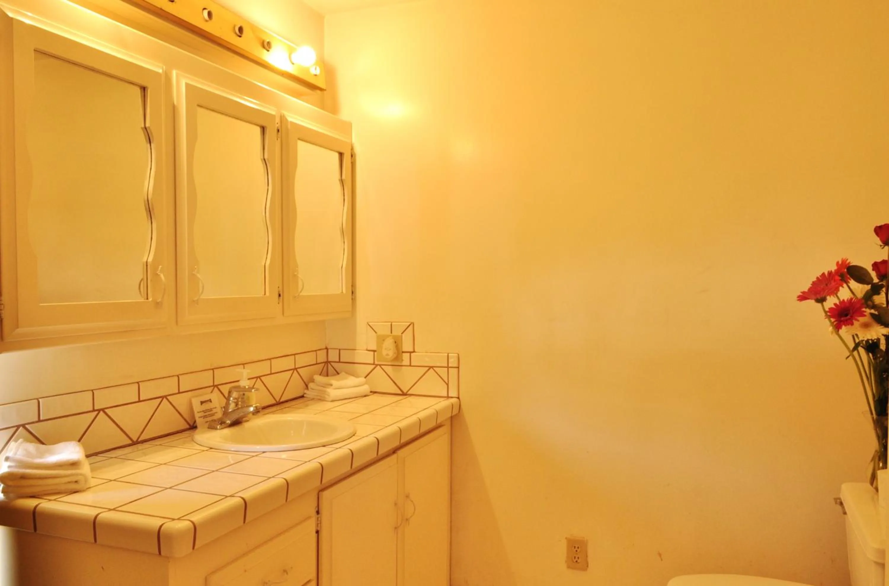 Bathroom in Horsepower Ranch