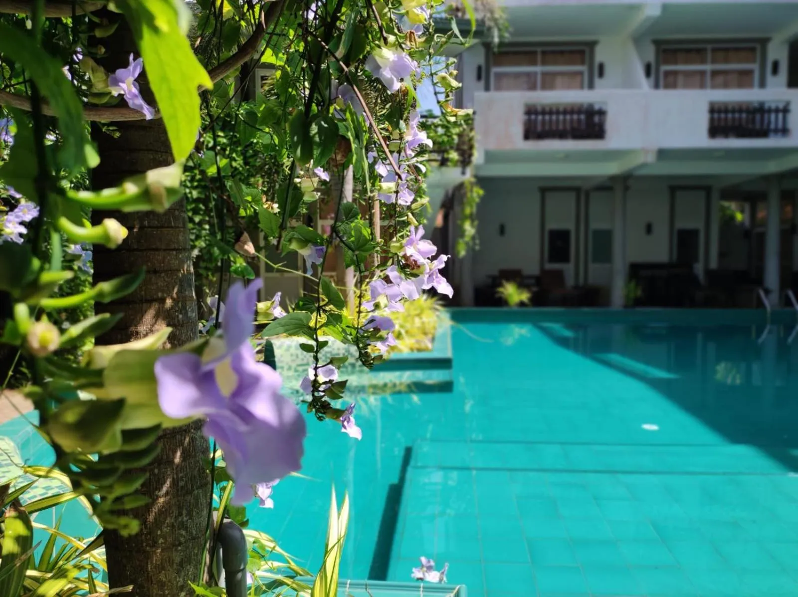 Property building in Nil Diya Beach Resort