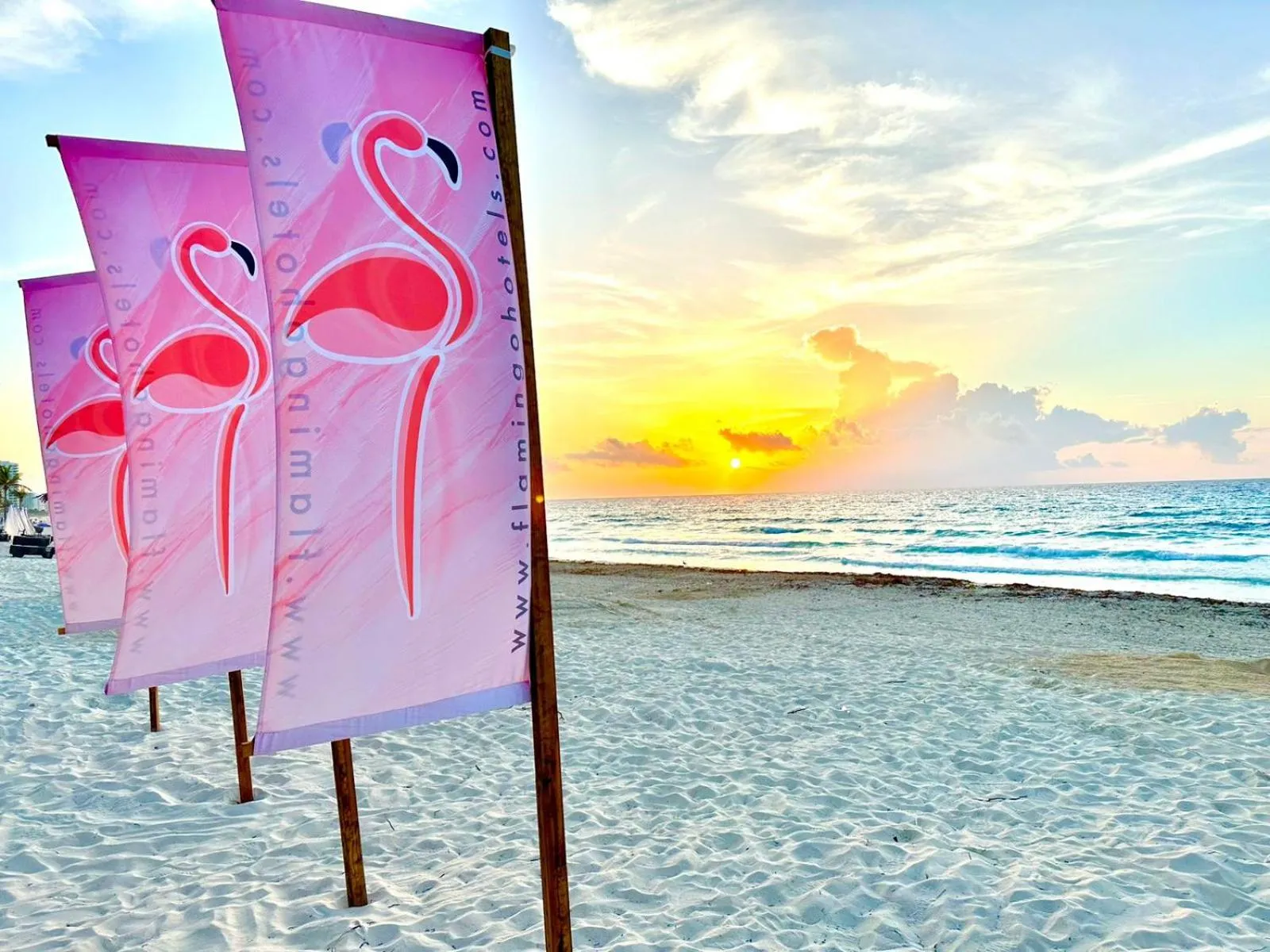 Natural landscape in Flamingo Cancun All Inclusive