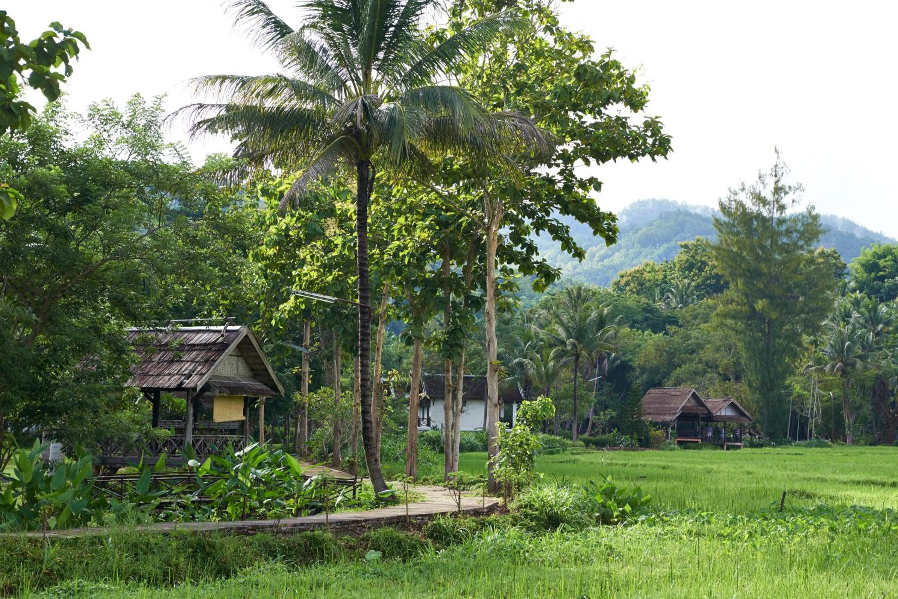 Property building in Santi Resort & Spa