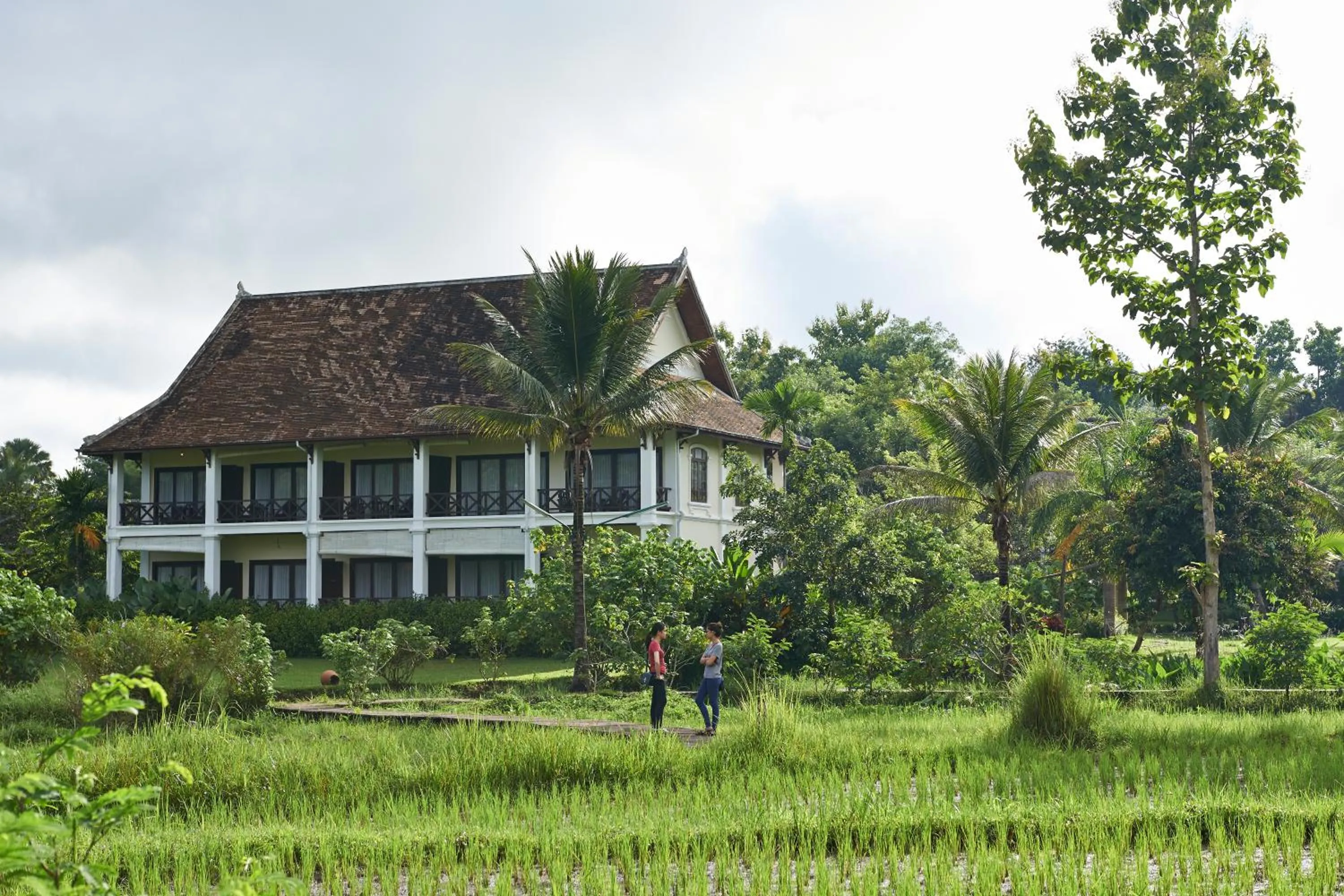 View (from property/room) in Santi Resort & Spa