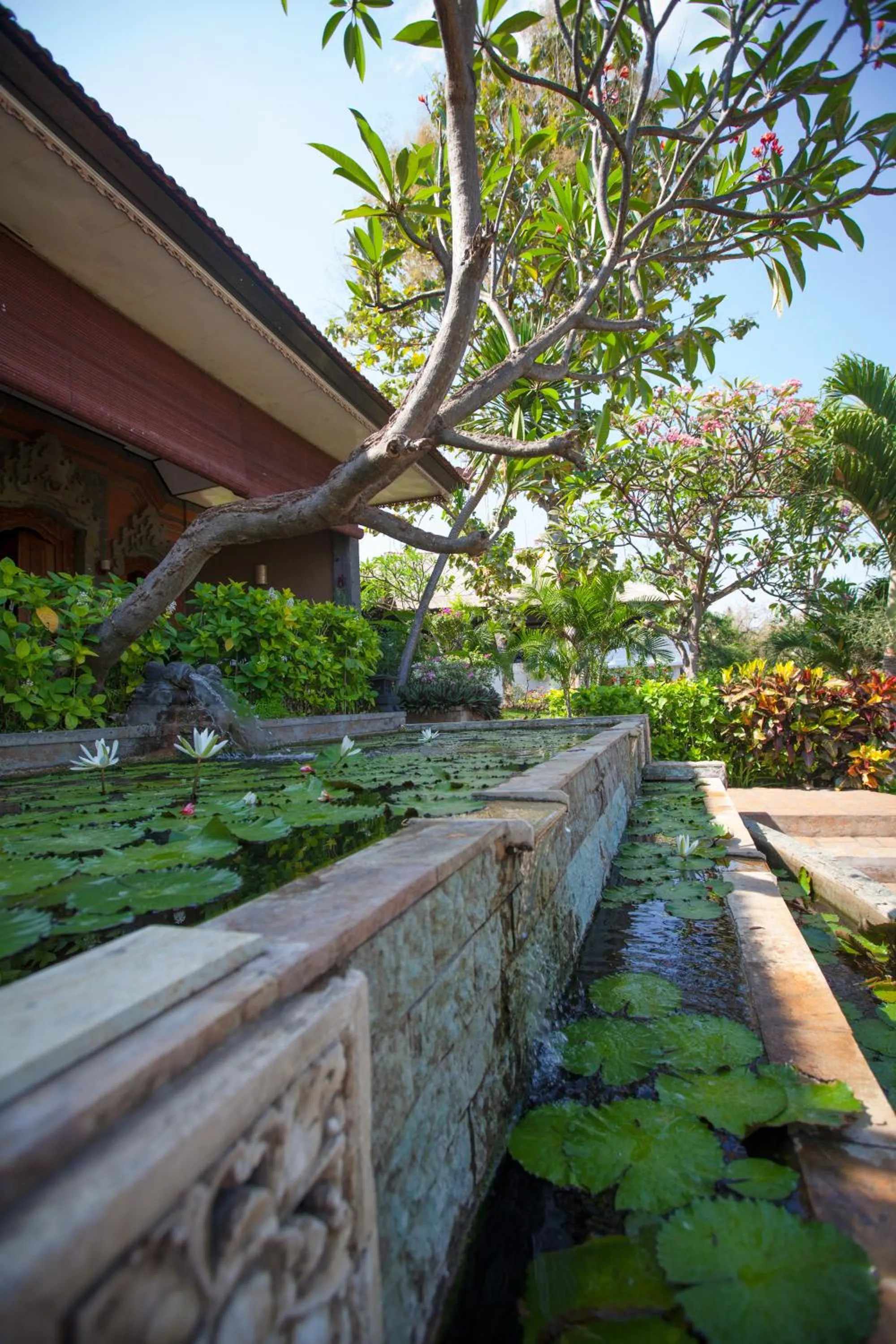 Garden view in Zen Resort Bali