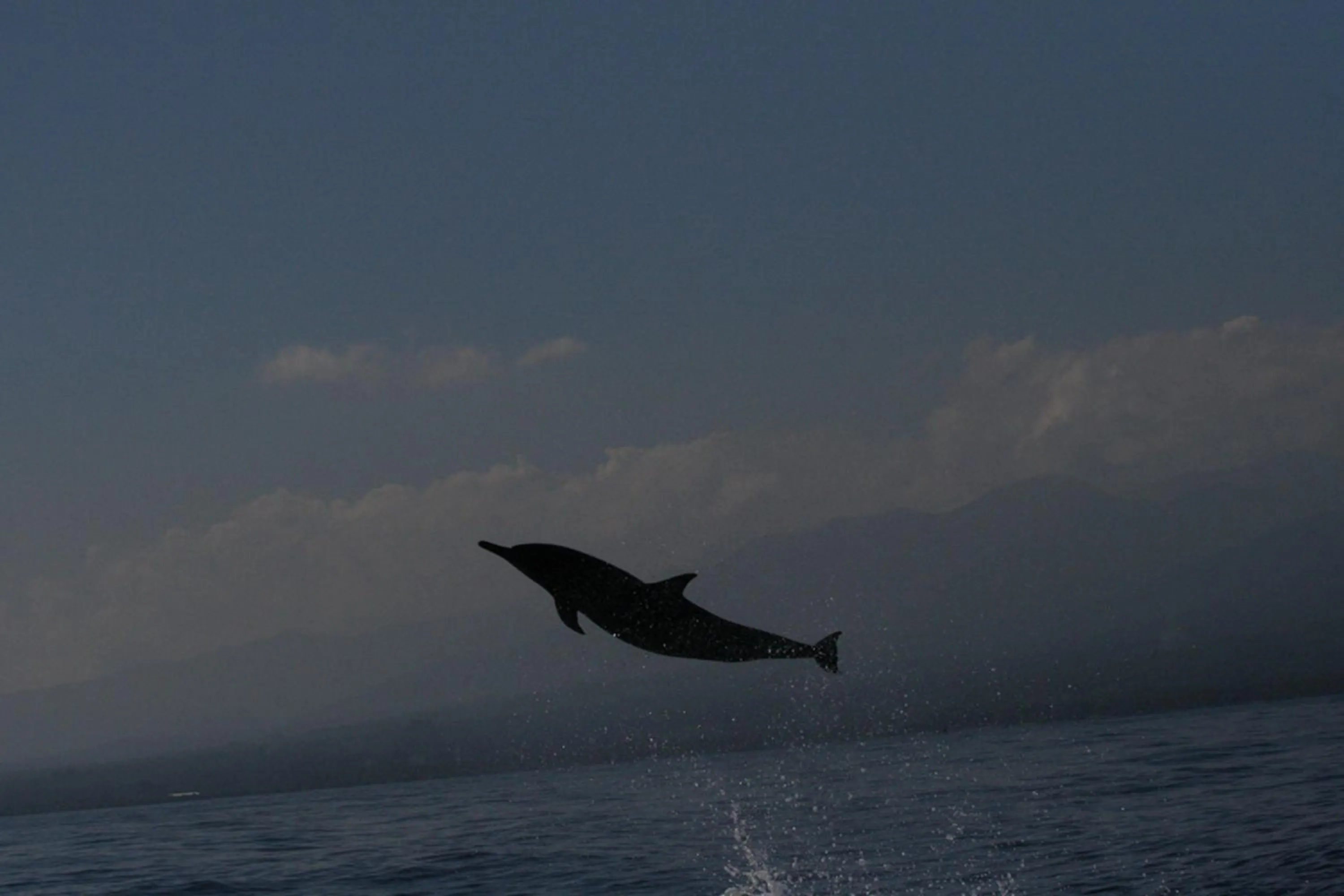 Area and facilities in Banyualit Spa 'n Resort Lovina