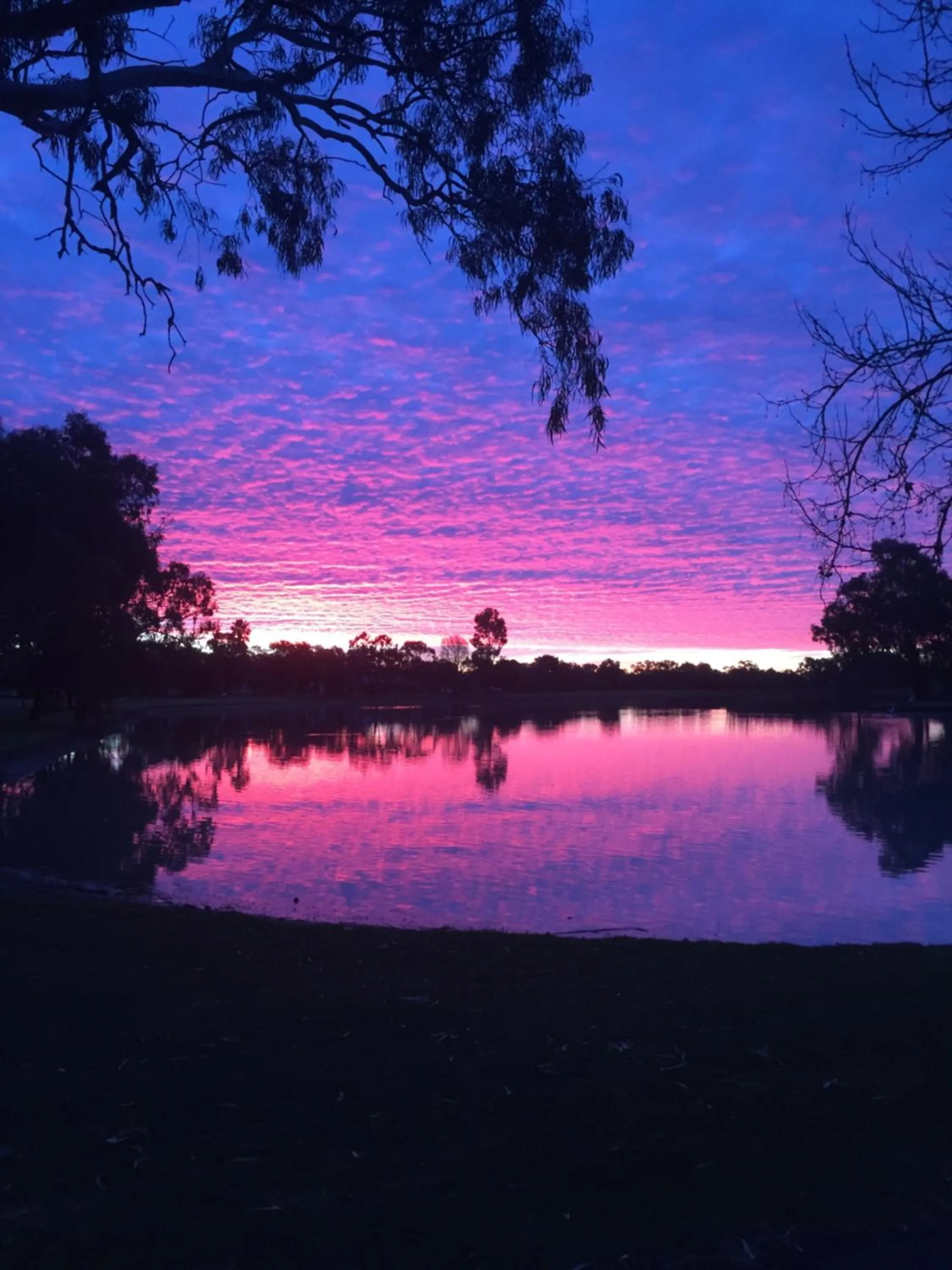 Natural landscape in Colony Inn Hotel