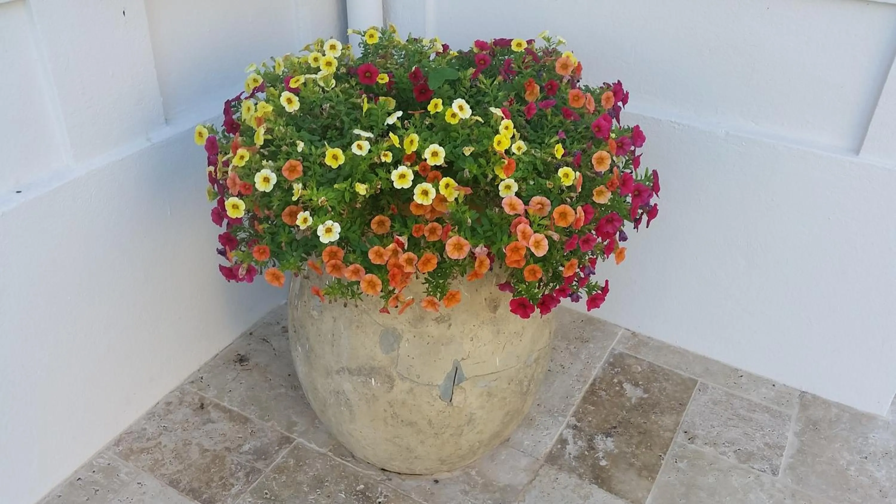 Decorative detail in B&B Villa Blanche