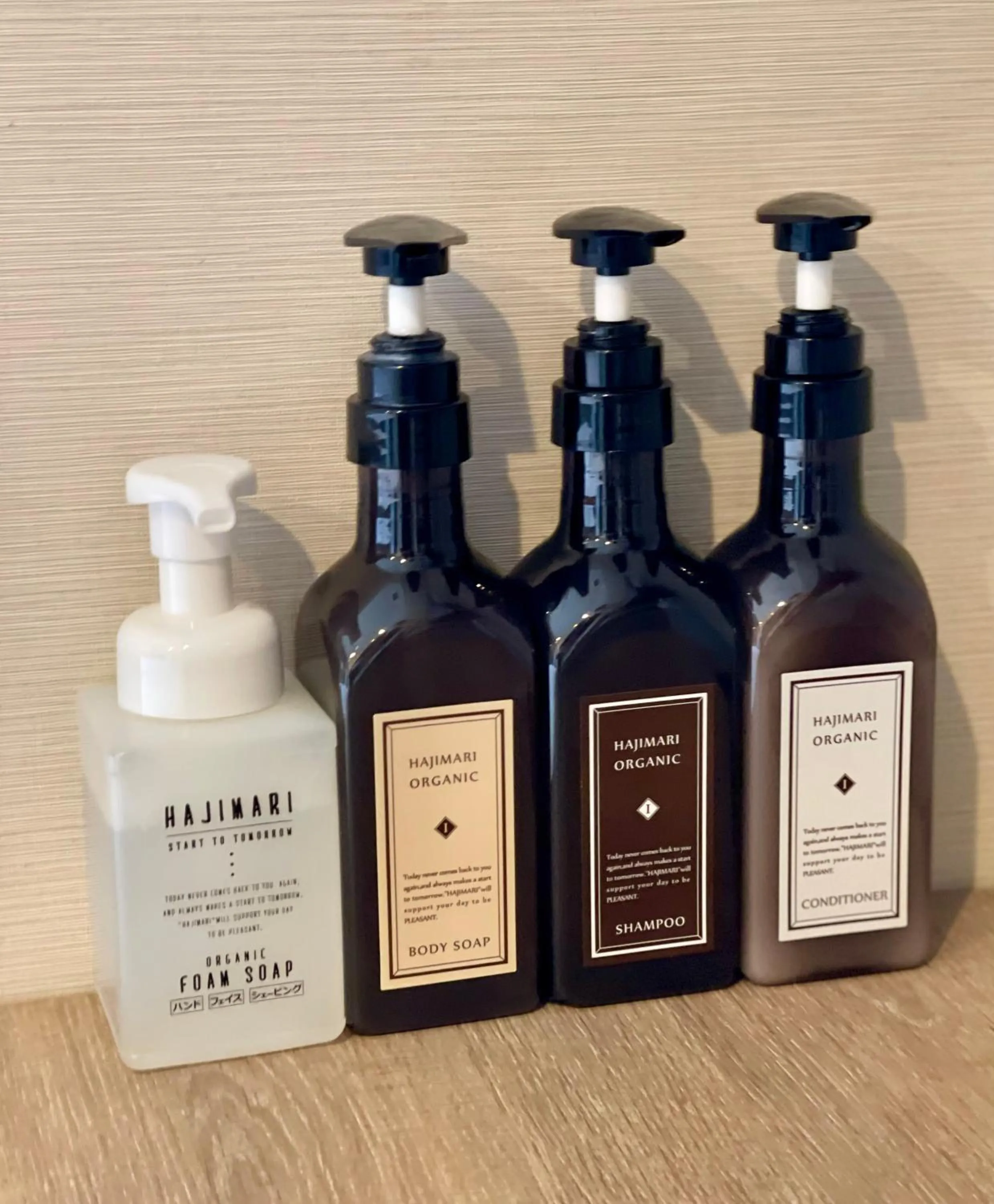 Other in Henn na Hotel Tokyo Nishikasai