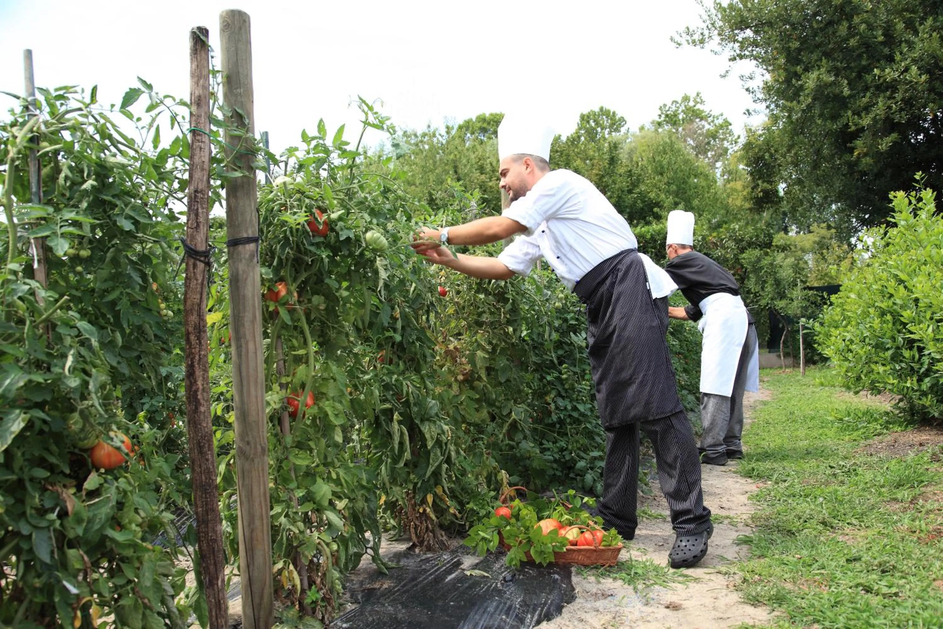 Staff in Villa Margherita