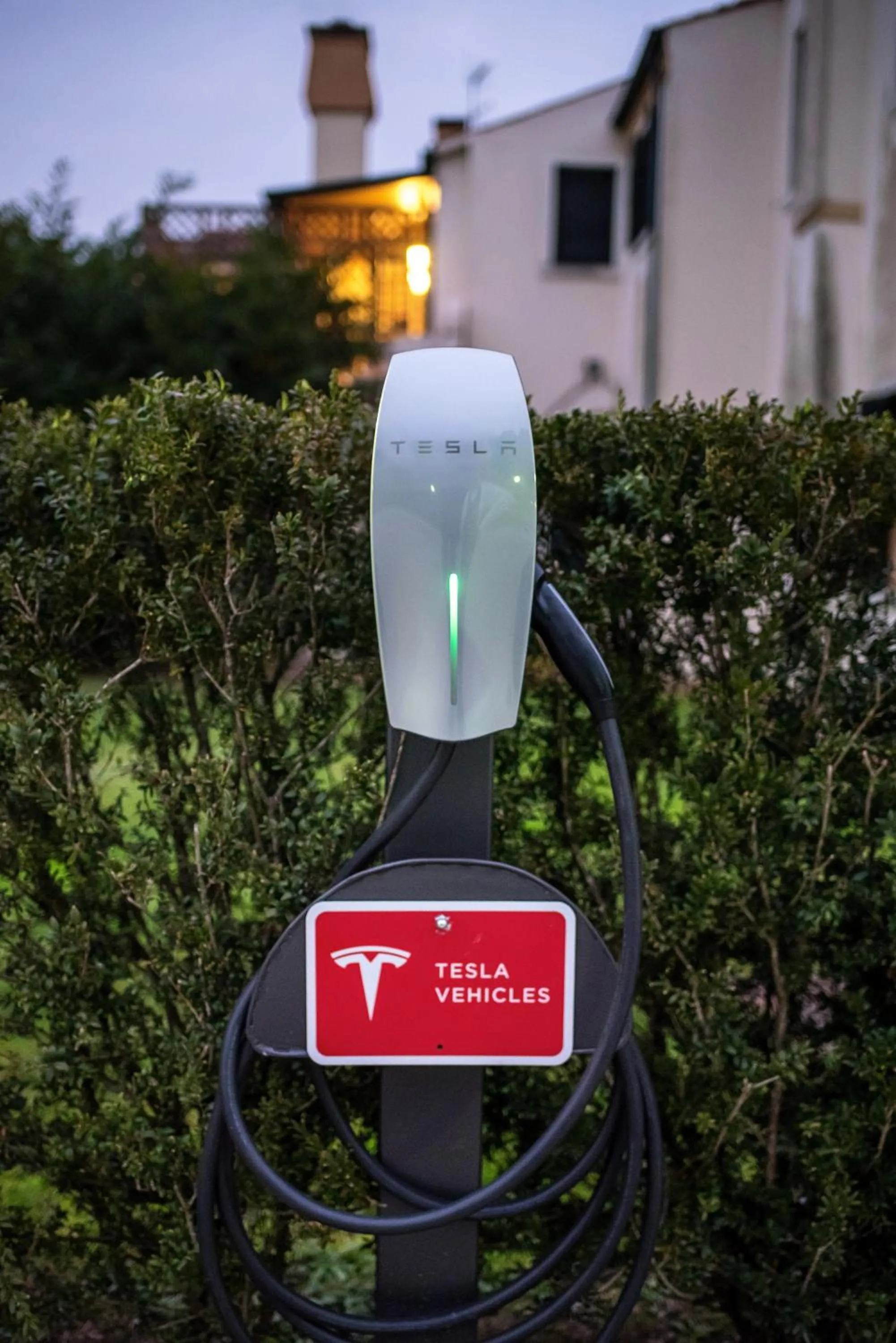 Garden in Villa Margherita