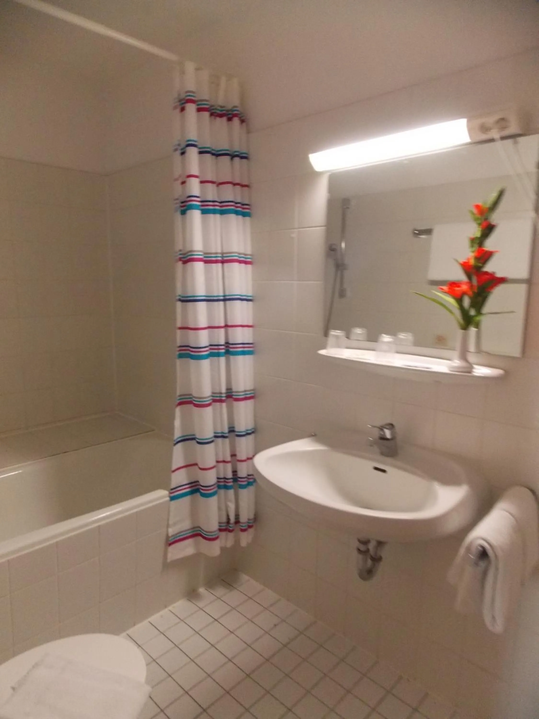 Bathroom in Hotel Krone