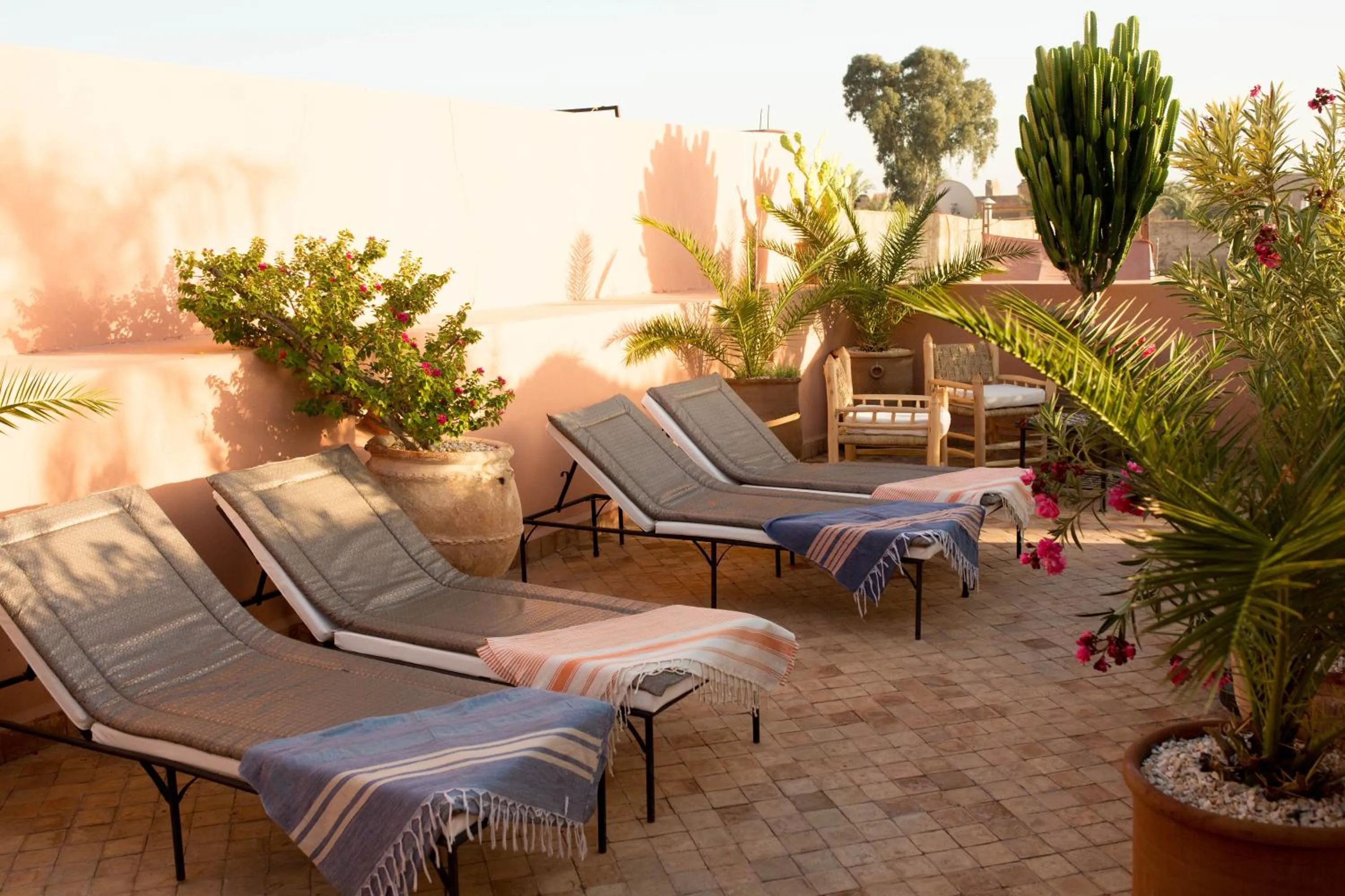Balcony/Terrace in Riad Dar More