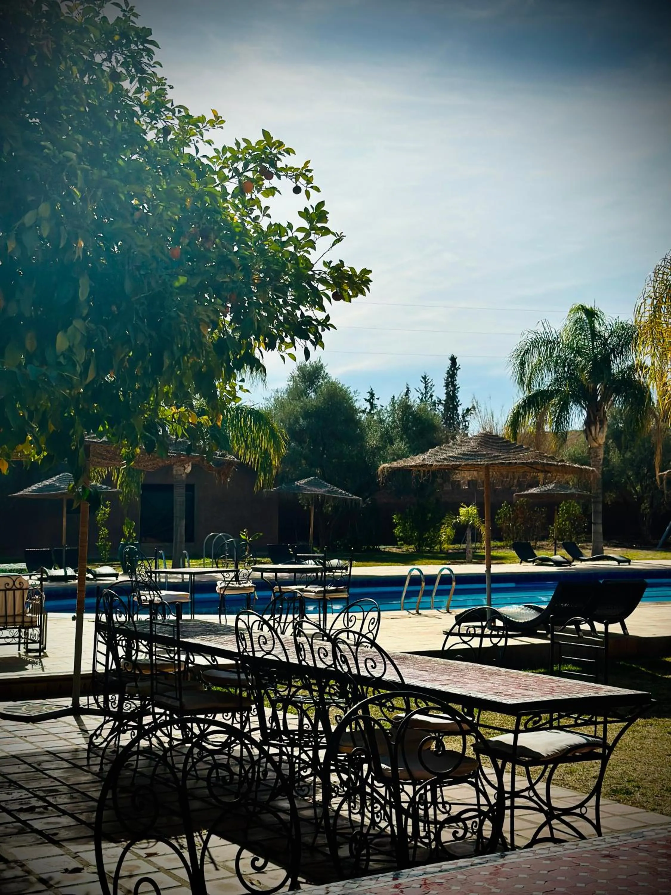 Restaurant/places to eat in Palais Riad Berbère