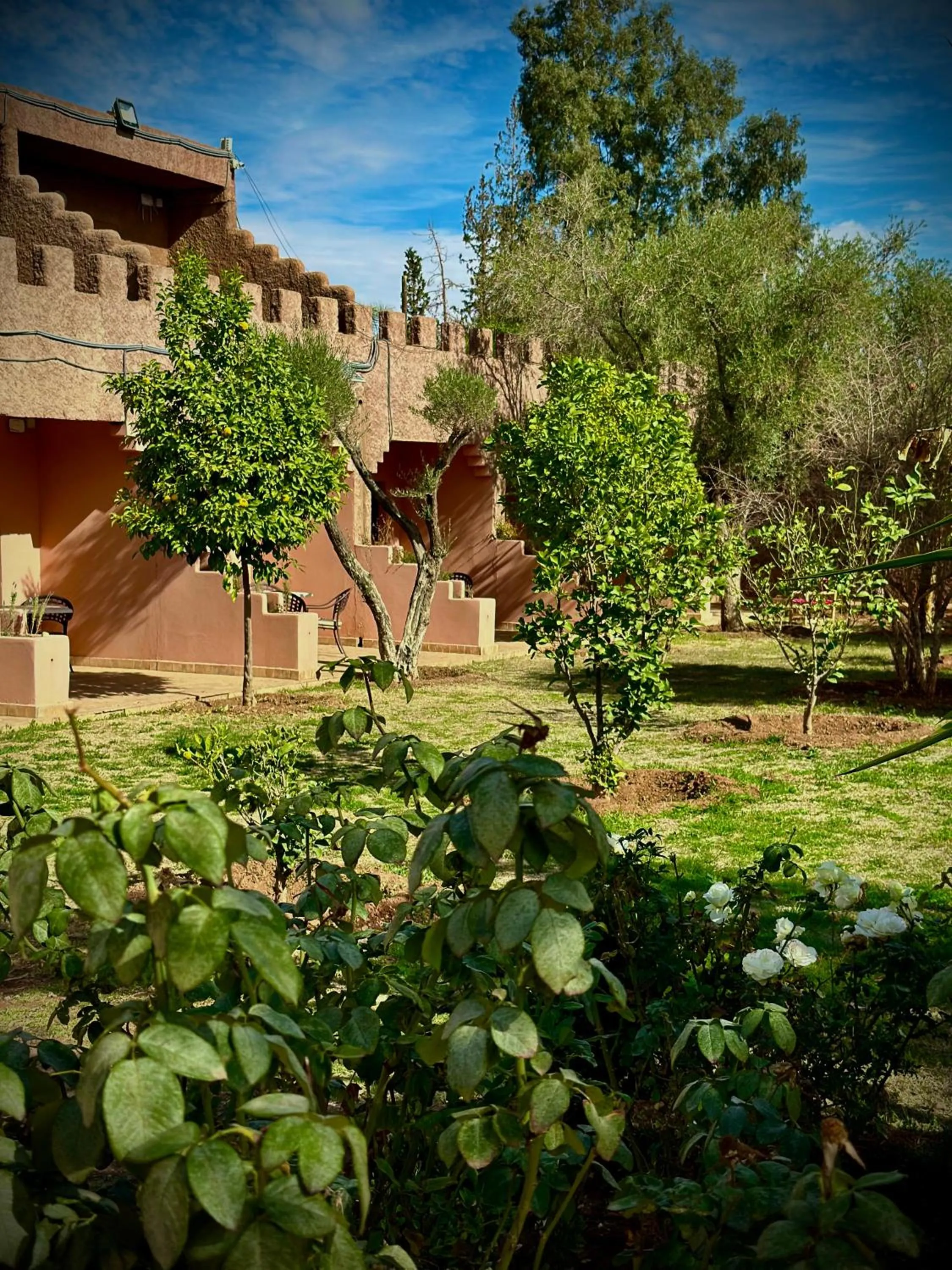 Garden view in Palais Riad Berbère