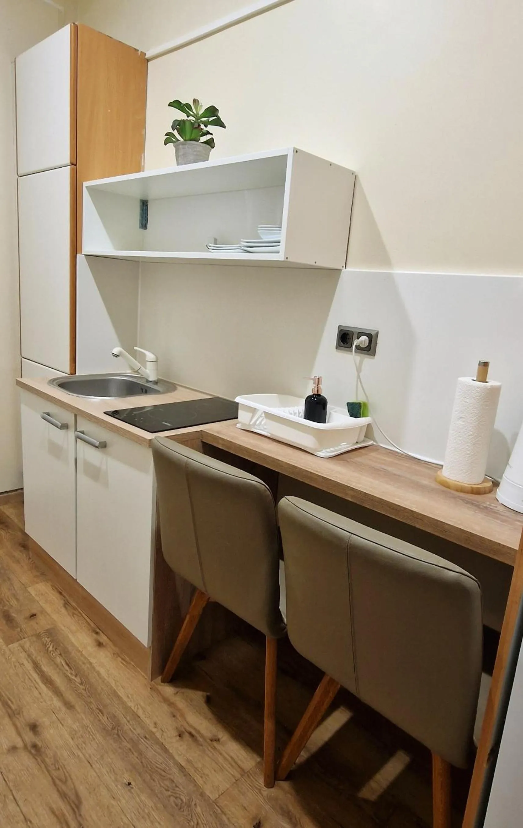 Kitchen or kitchenette in Aparthotel LAAERBERG