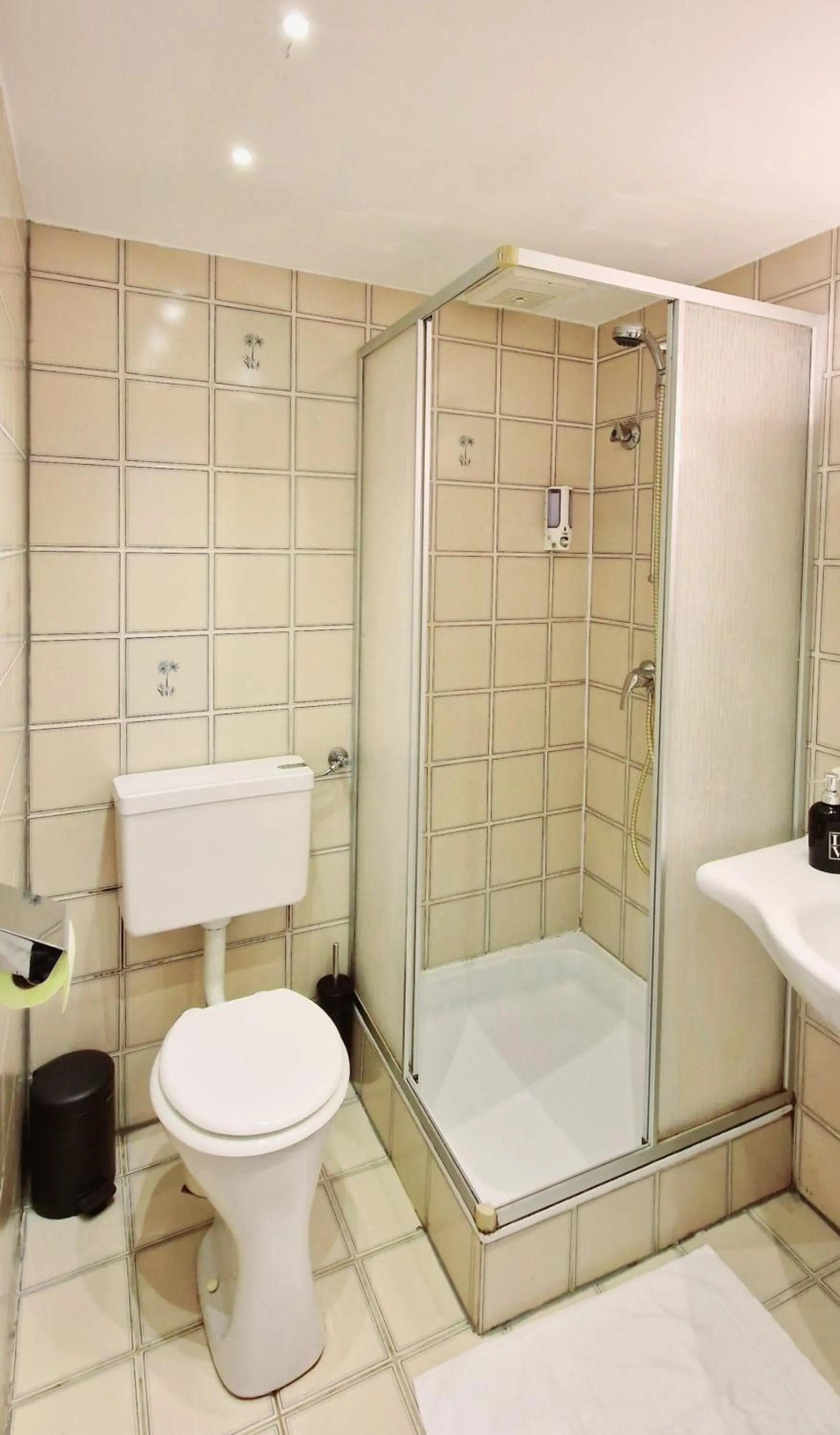 Shower in Aparthotel LAAERBERG