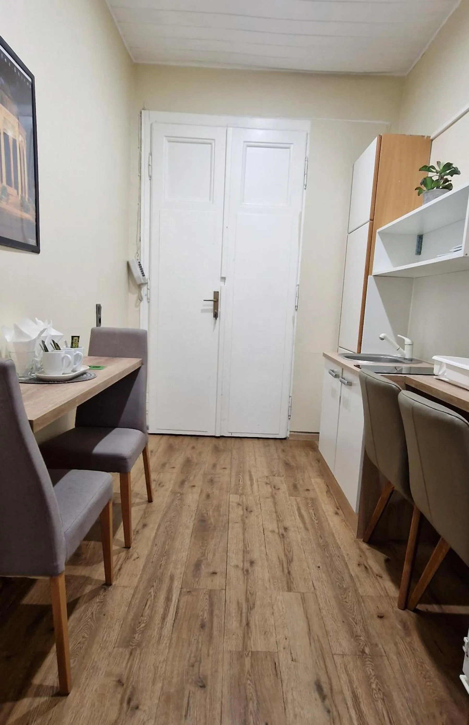 Kitchen or kitchenette in Aparthotel LAAERBERG