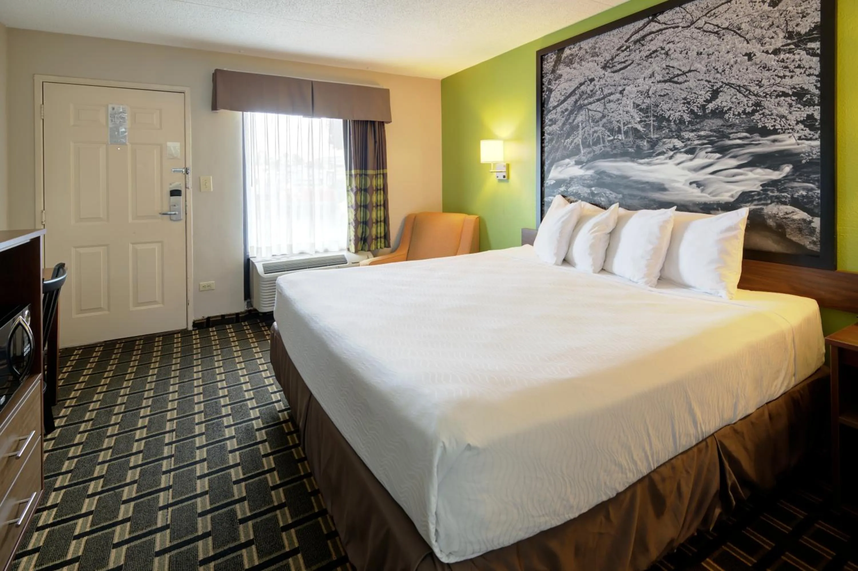 Bed in Super 8 by Wyndham Knoxville West/Farragut