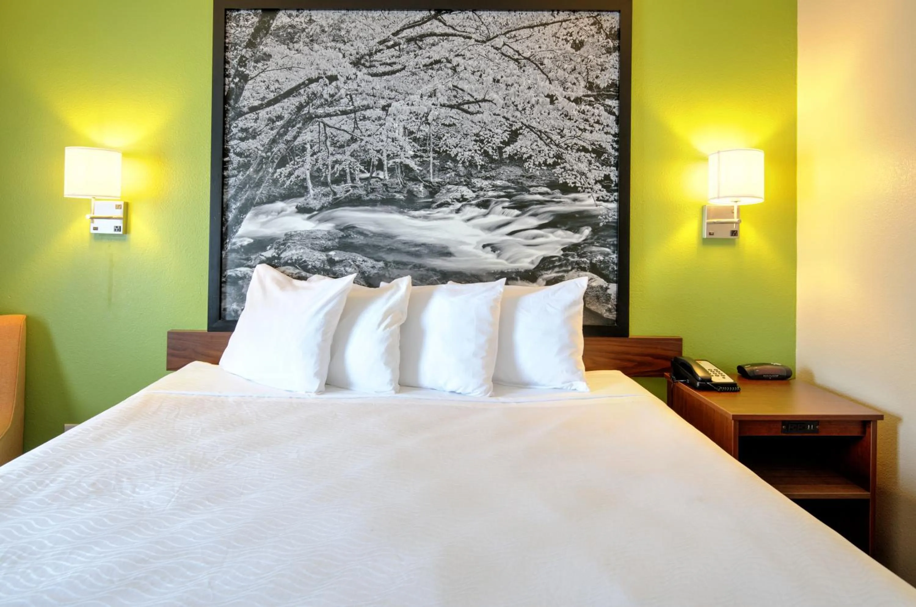 Bed in Super 8 by Wyndham Knoxville West/Farragut