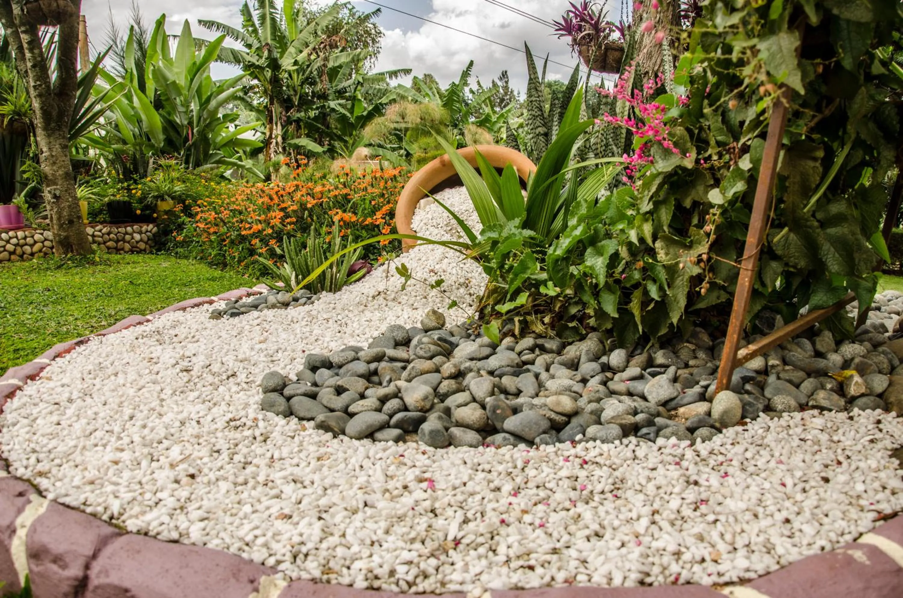 Property building in Sheevy"s Bed N Breakfast