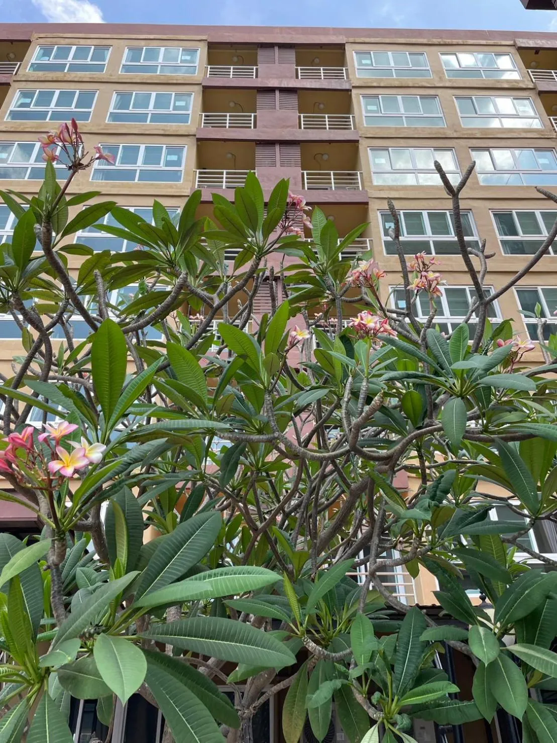 Property building in H2DO Hotel