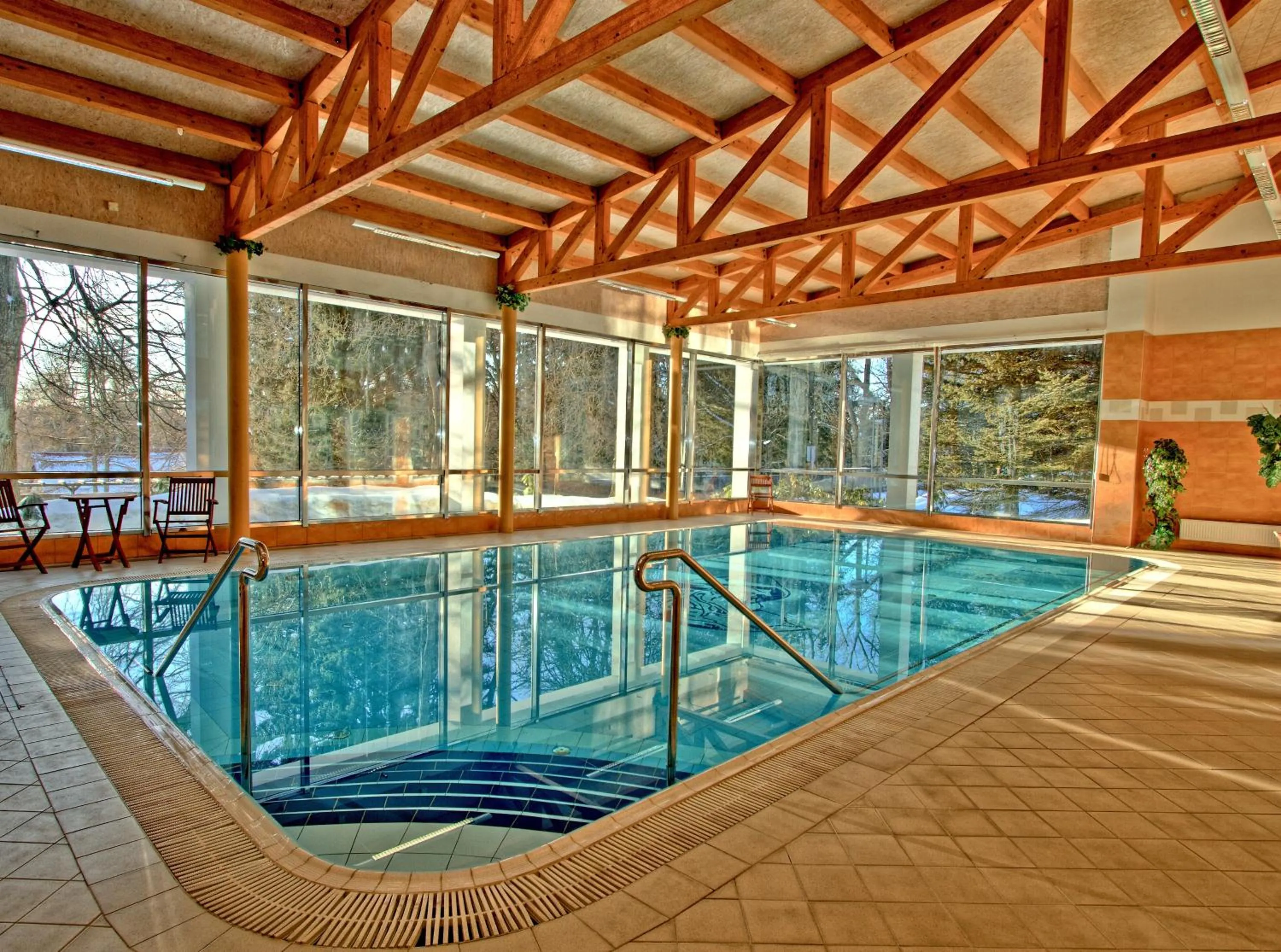 Swimming pool in Hotel Krakonoš