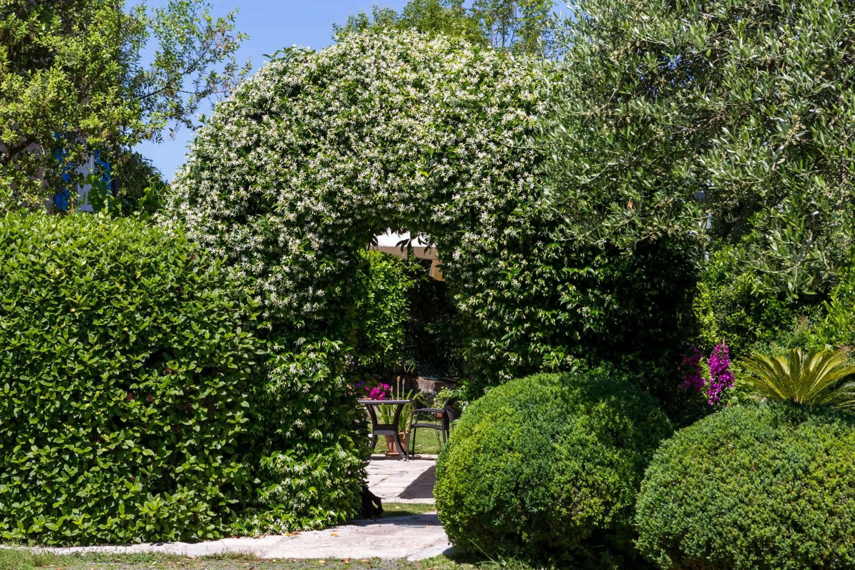 Garden in Il Villino Hotel & SPA