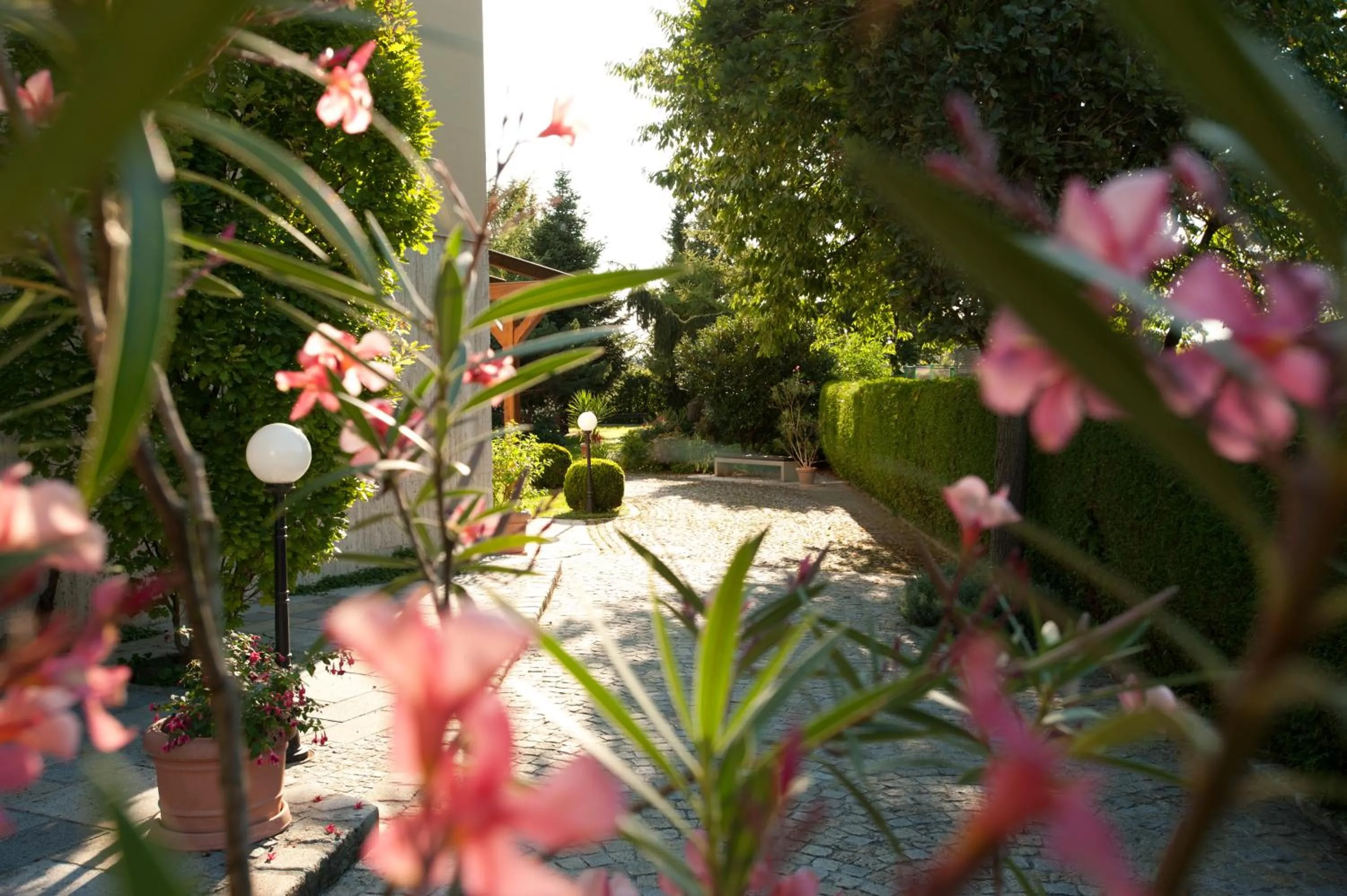 Garden in Hotel Vösenhuber