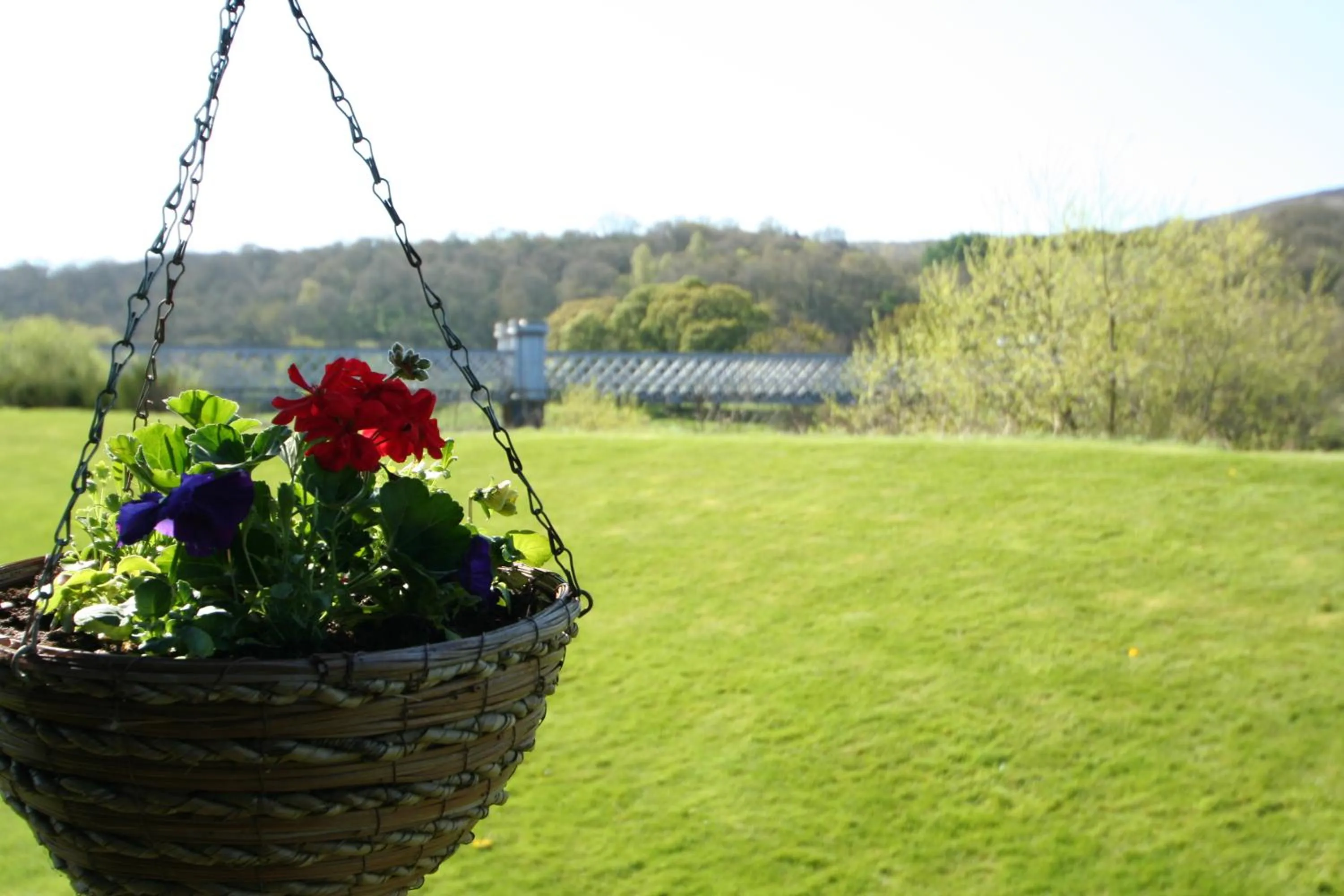 Day in Logierait Pine Lodges